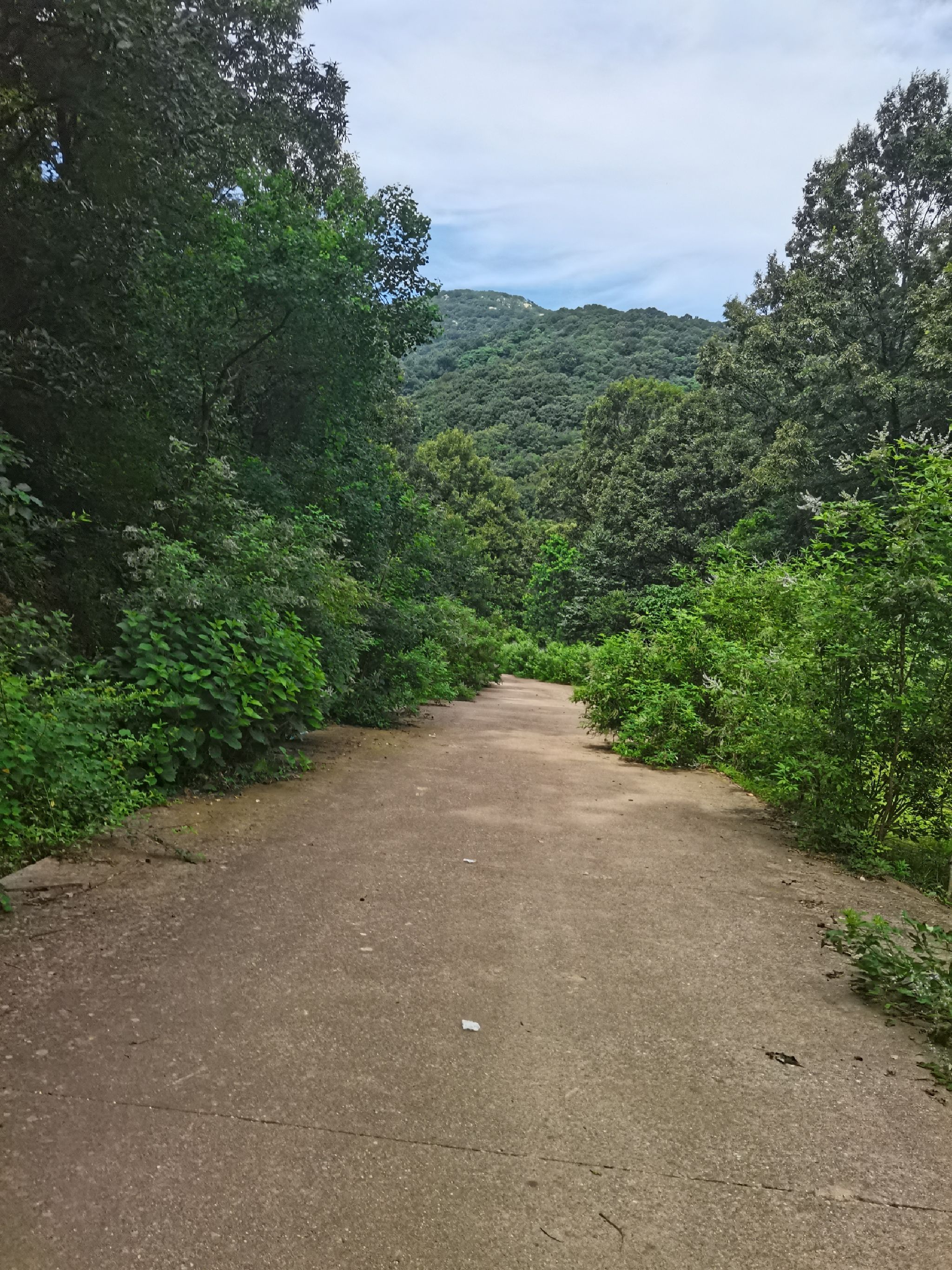 蚁蜂镇云梦山旅行图片 1