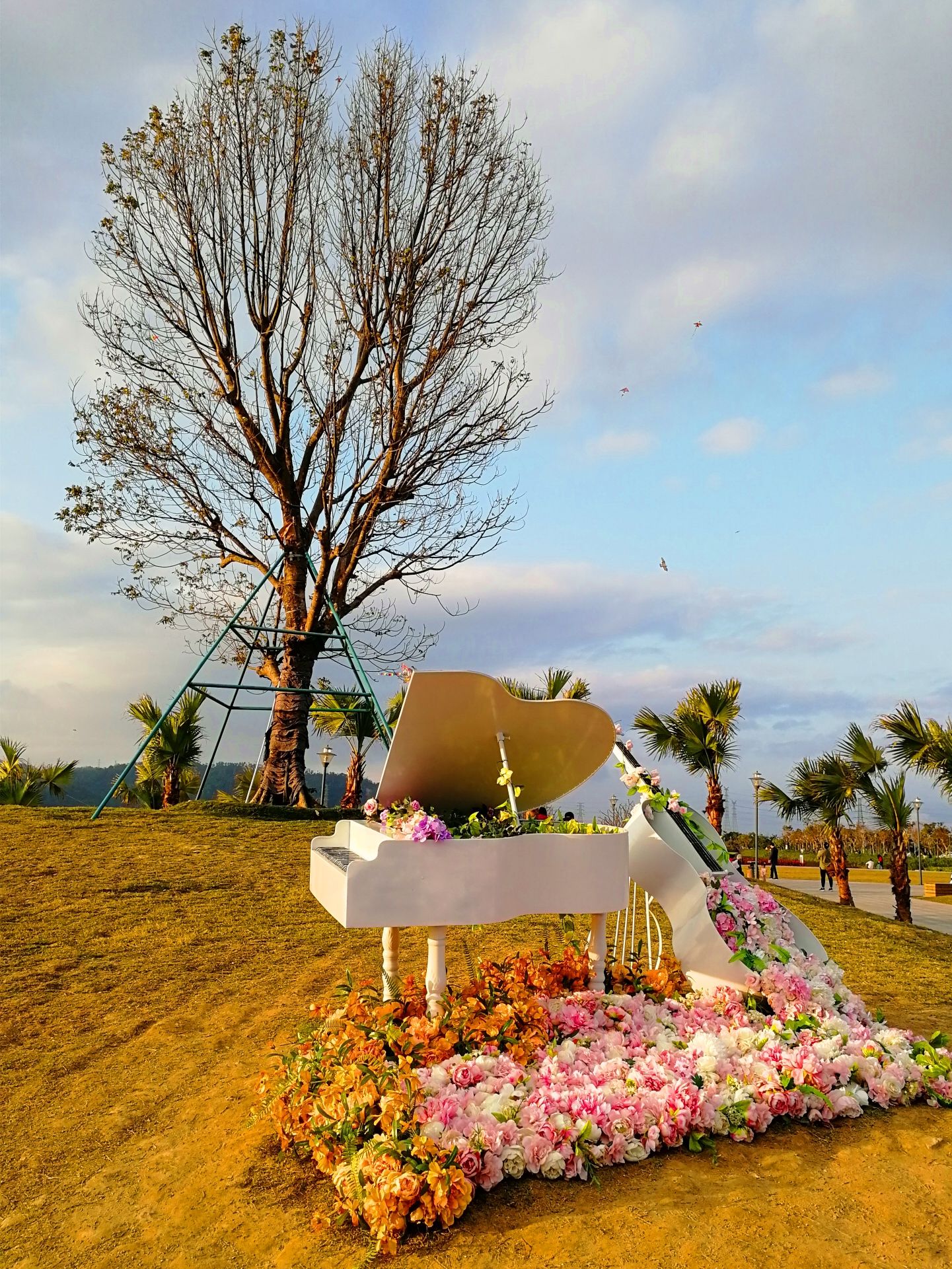 大门口湿地公园旅行图片 2