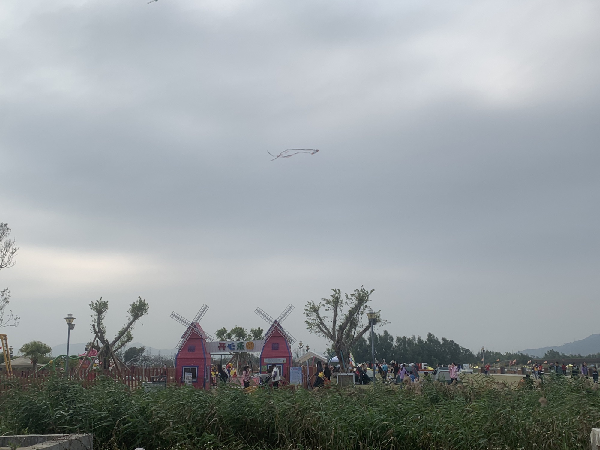 大门口湿地公园旅行图片 2