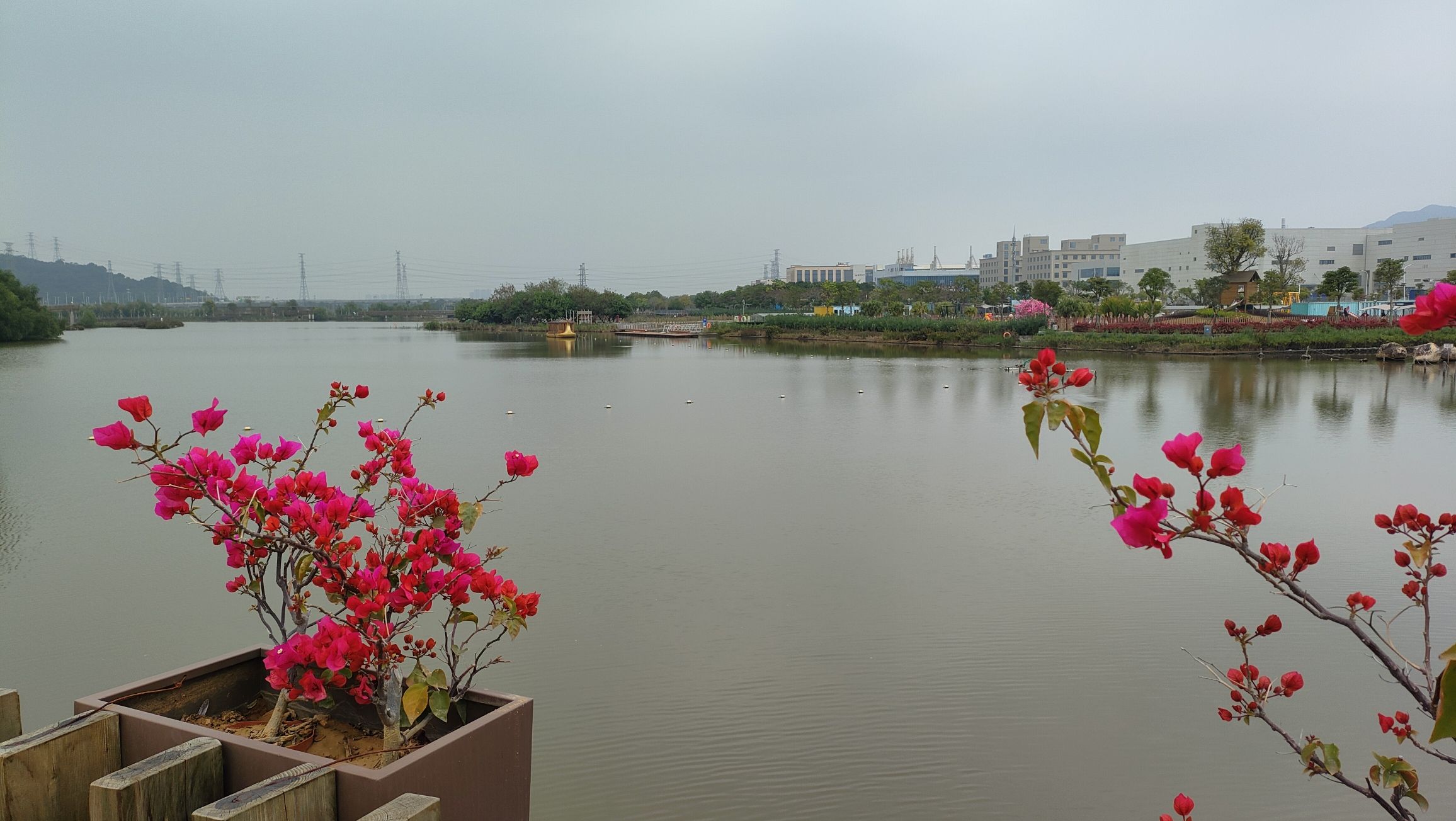 大门口湿地公园旅行图片 3