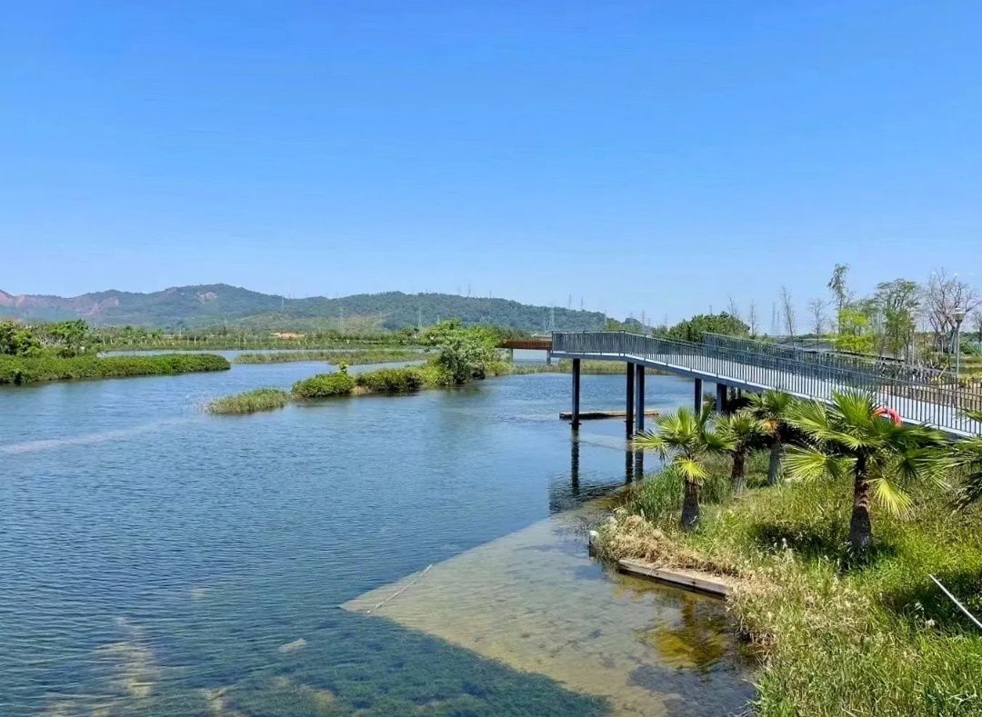 大门口湿地公园旅行图片 2