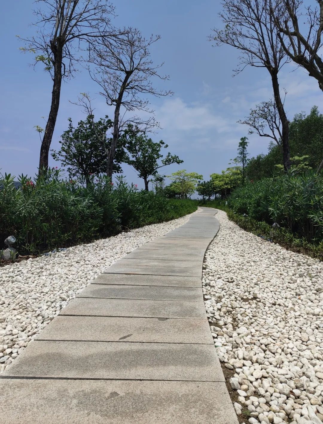 大门口湿地公园旅行图片 1