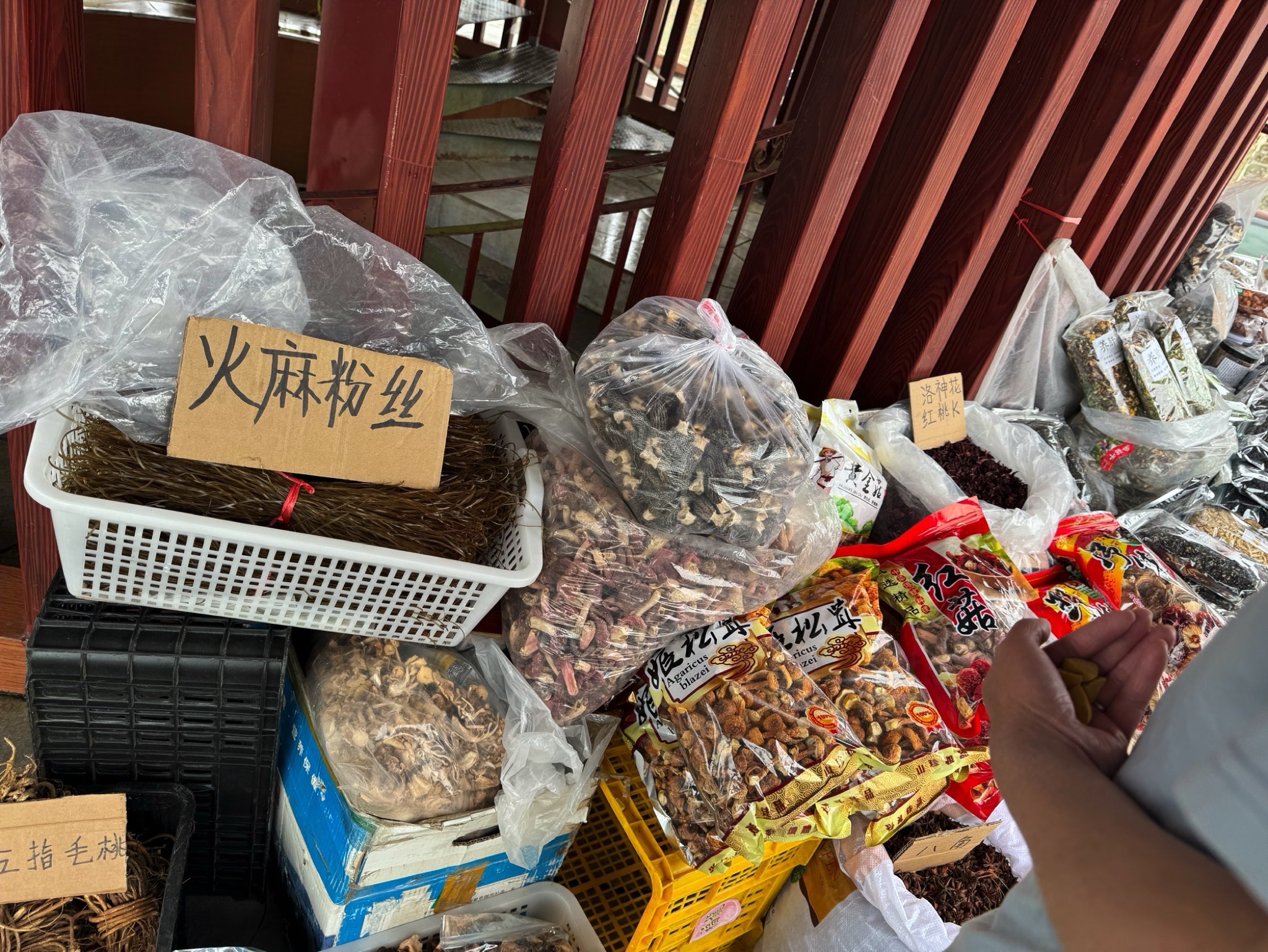 命河观景台旅行图片 3
