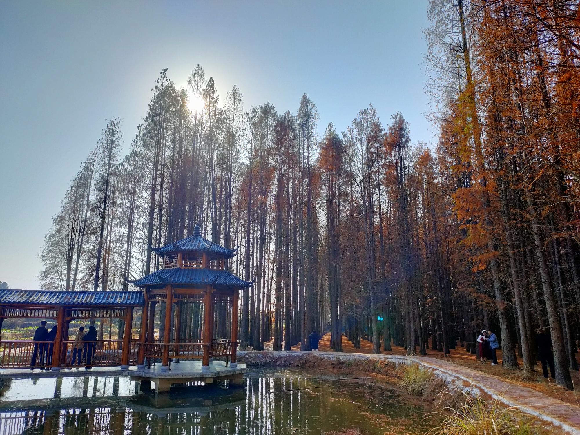 云水花海旅行图片 2