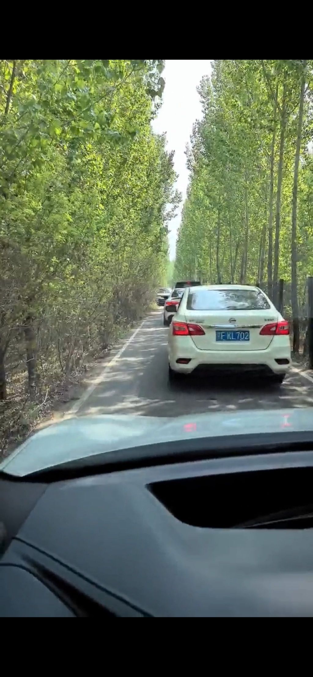 潮白沙滩旅行图片 1