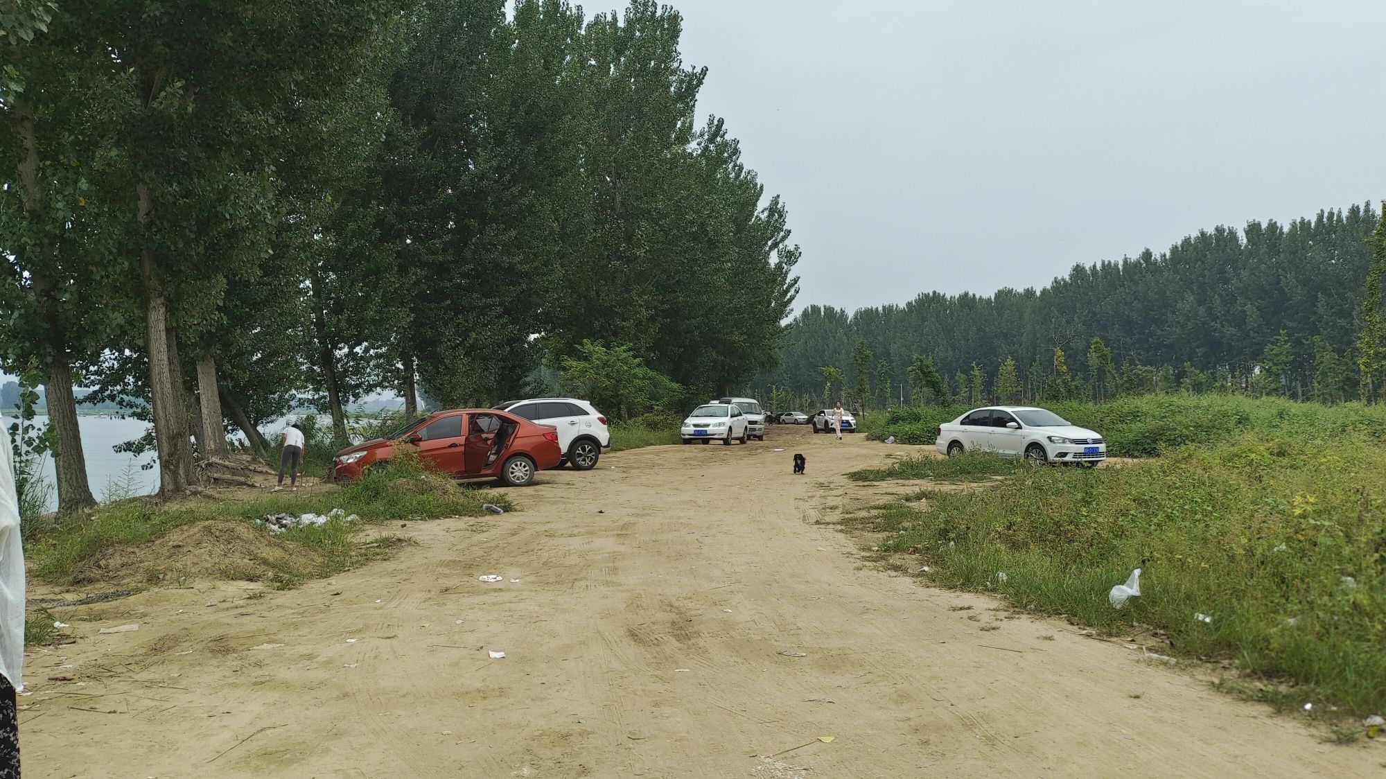 潮白沙滩旅行图片 3