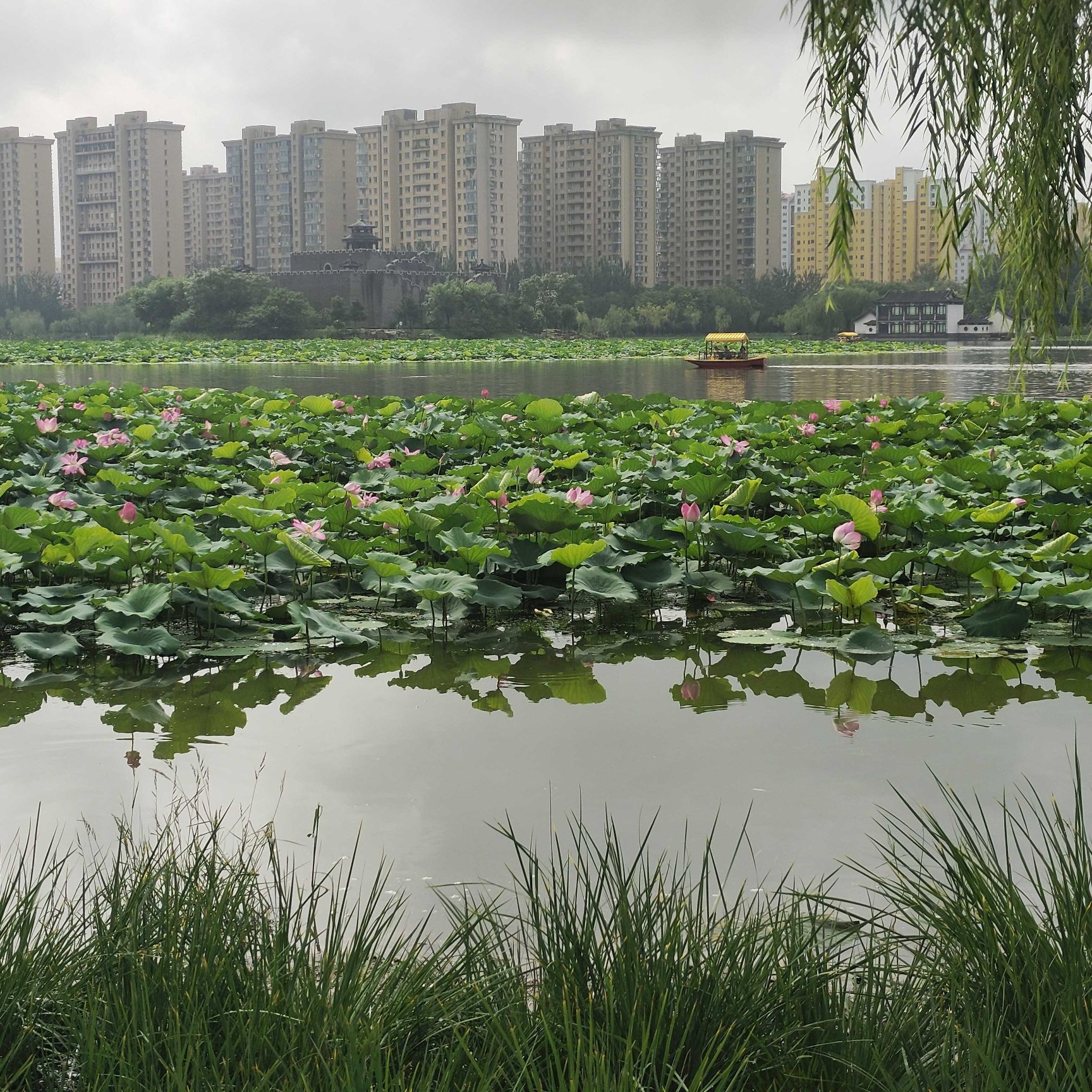 瀛州公园旅行图片 2