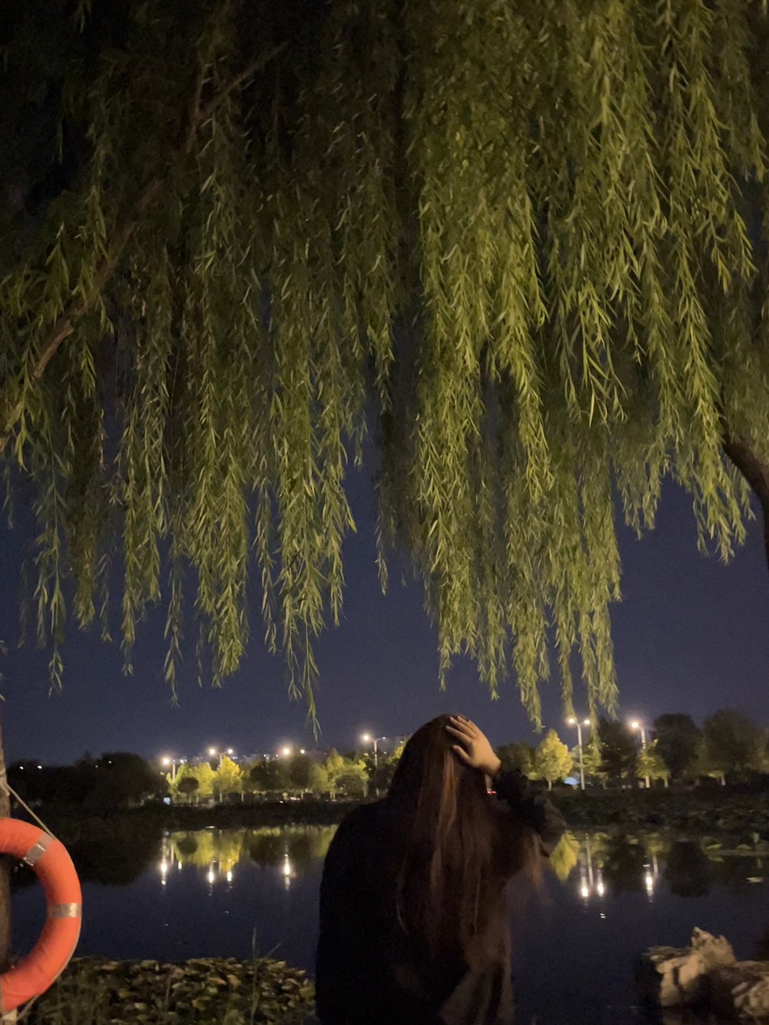 瀛州公园旅行图片 2