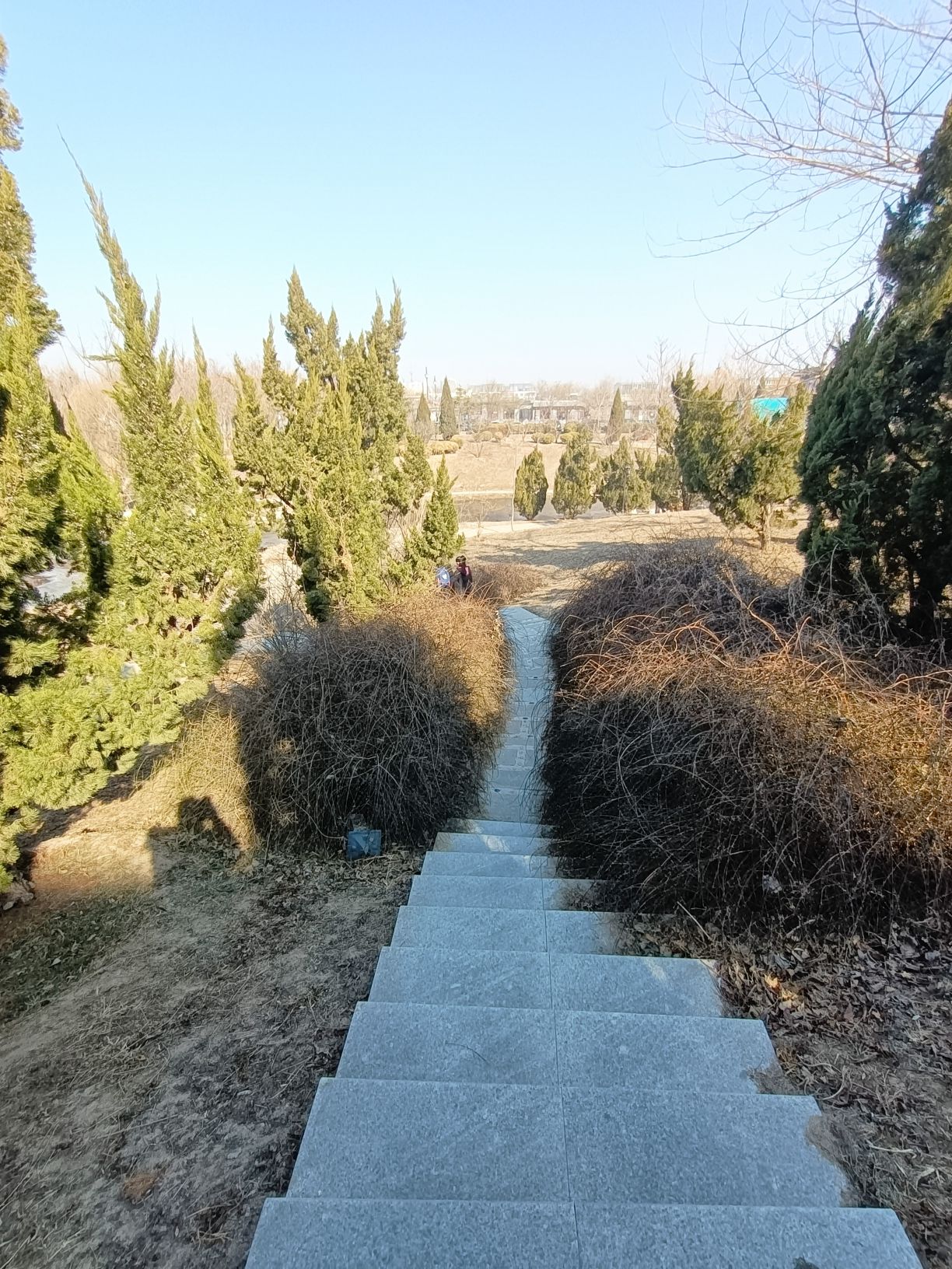 瀛州公园旅行图片 3