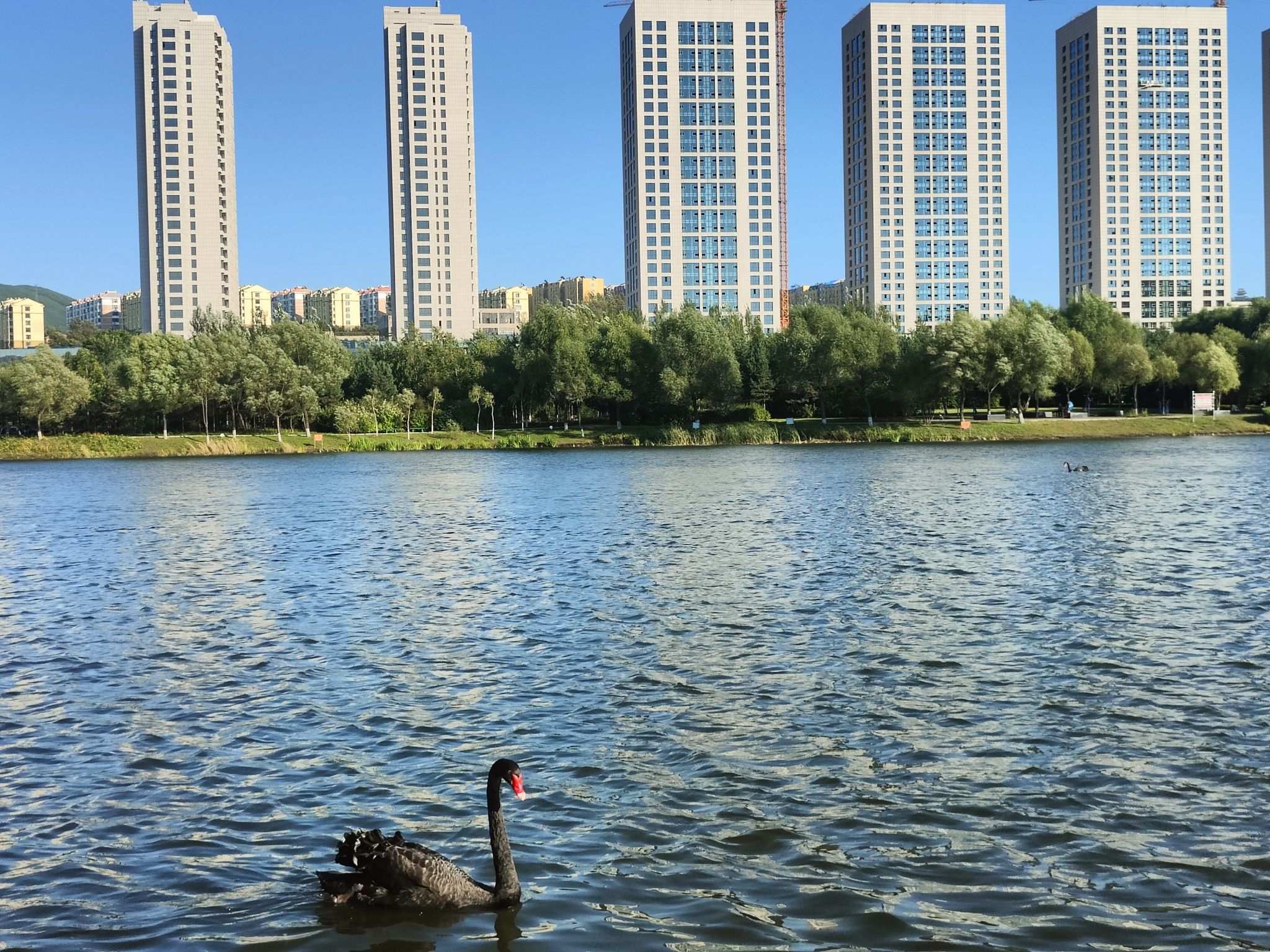 市政广场人工湖