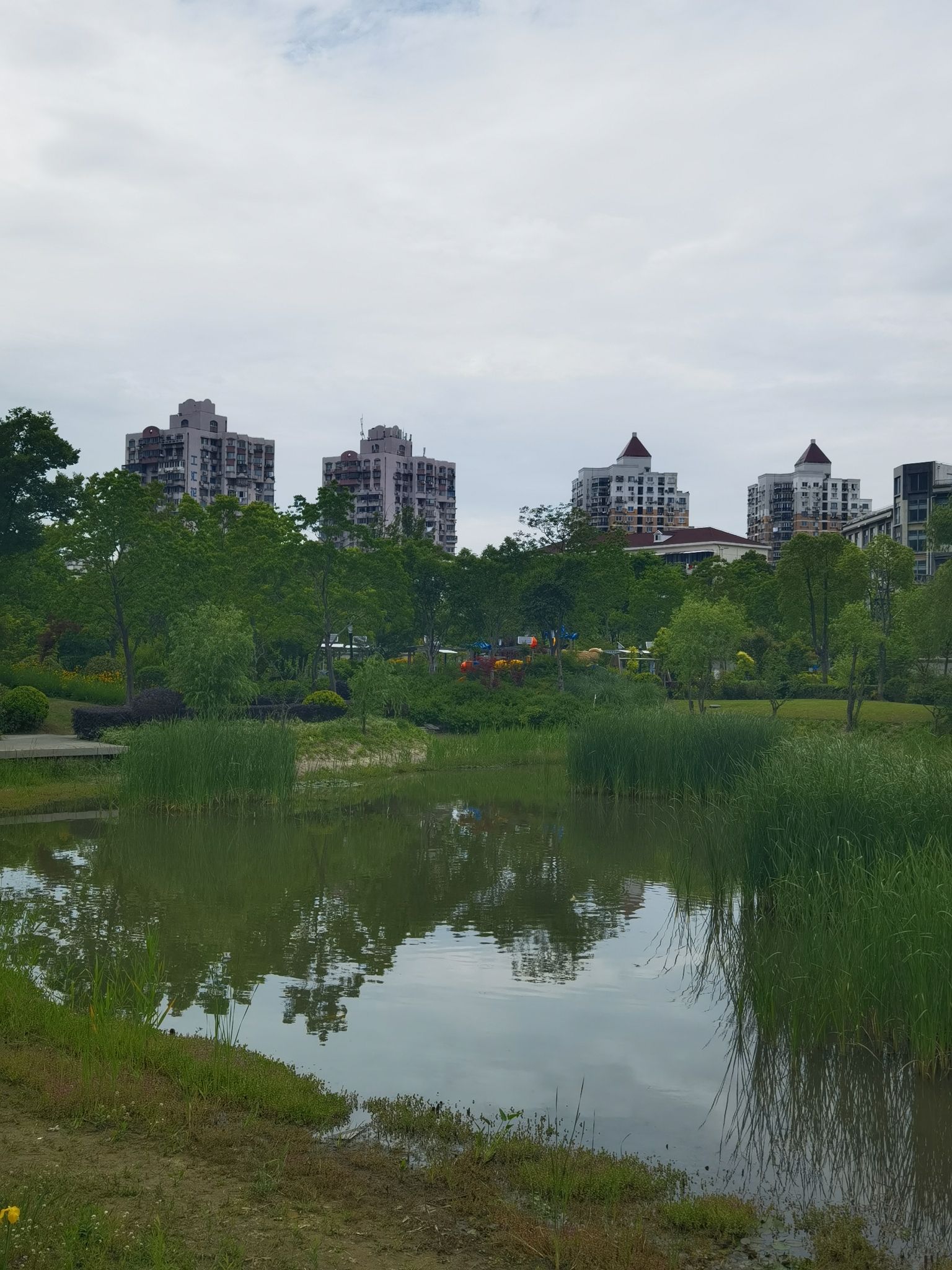 建民绿地公园旅行图片 3