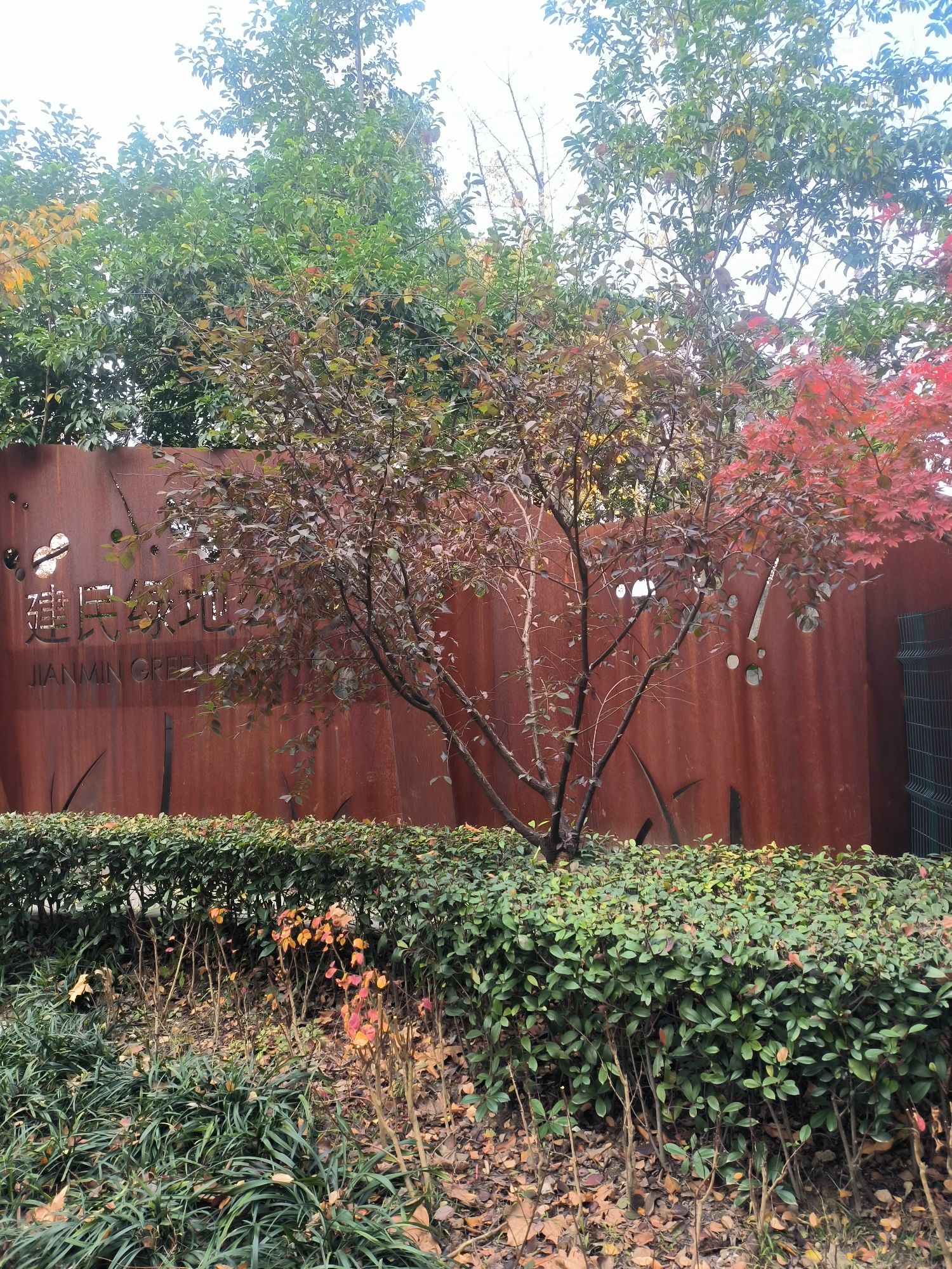 建民绿地公园旅行图片 2