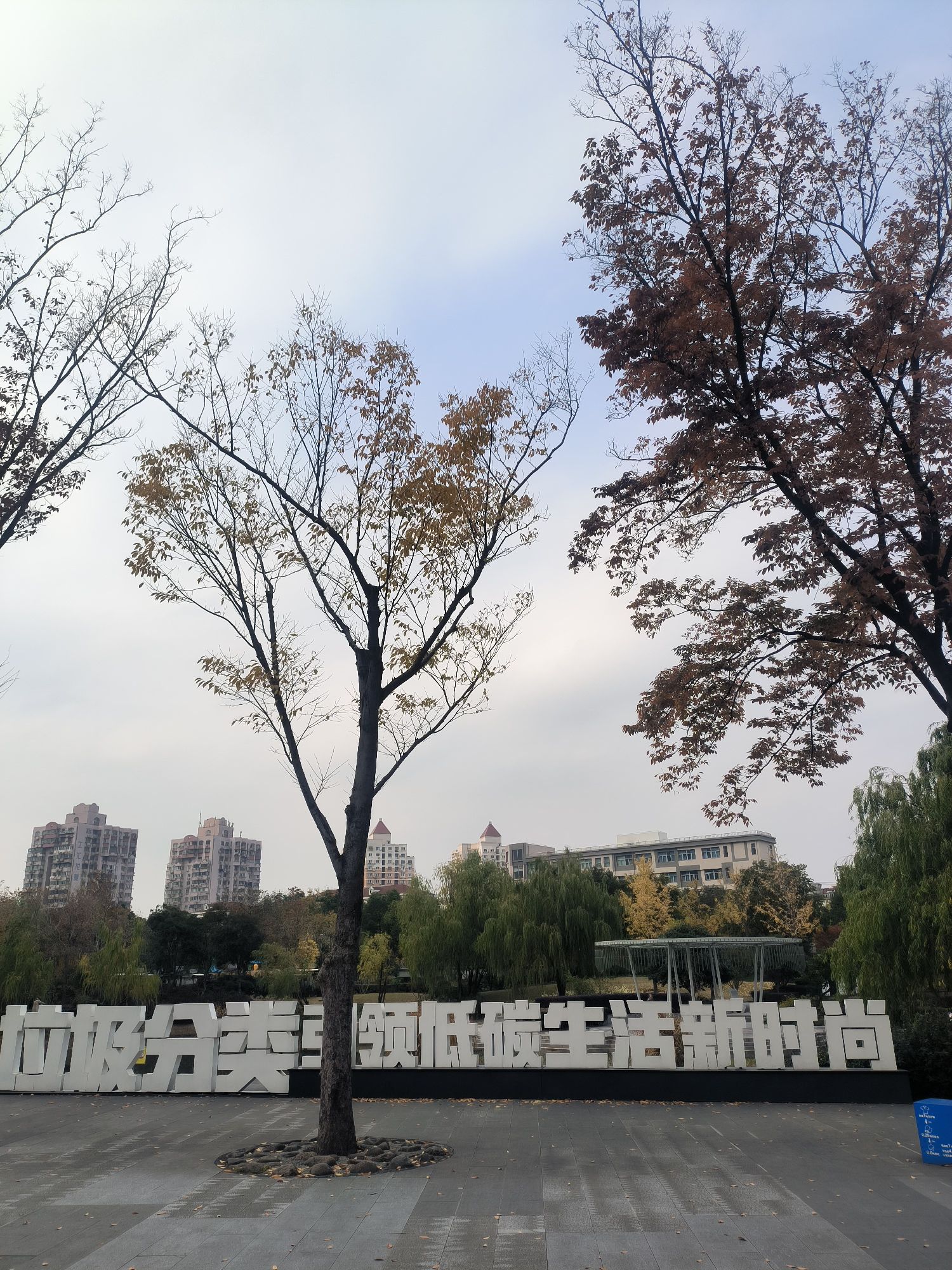 建民绿地公园旅行图片 3