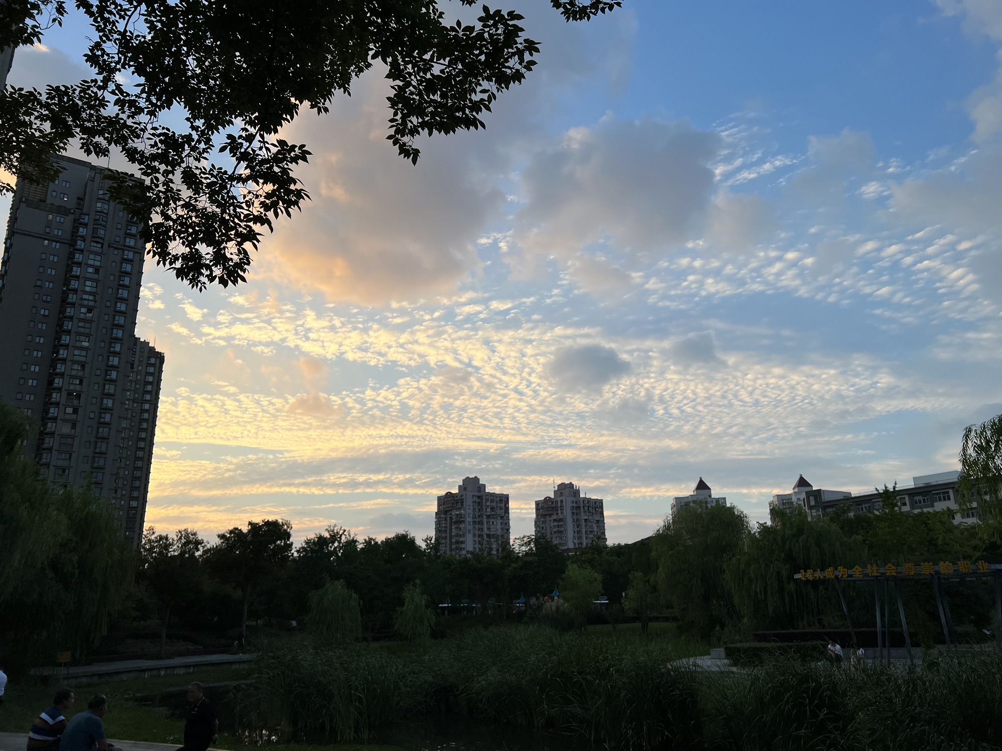 建民绿地公园旅行图片 2