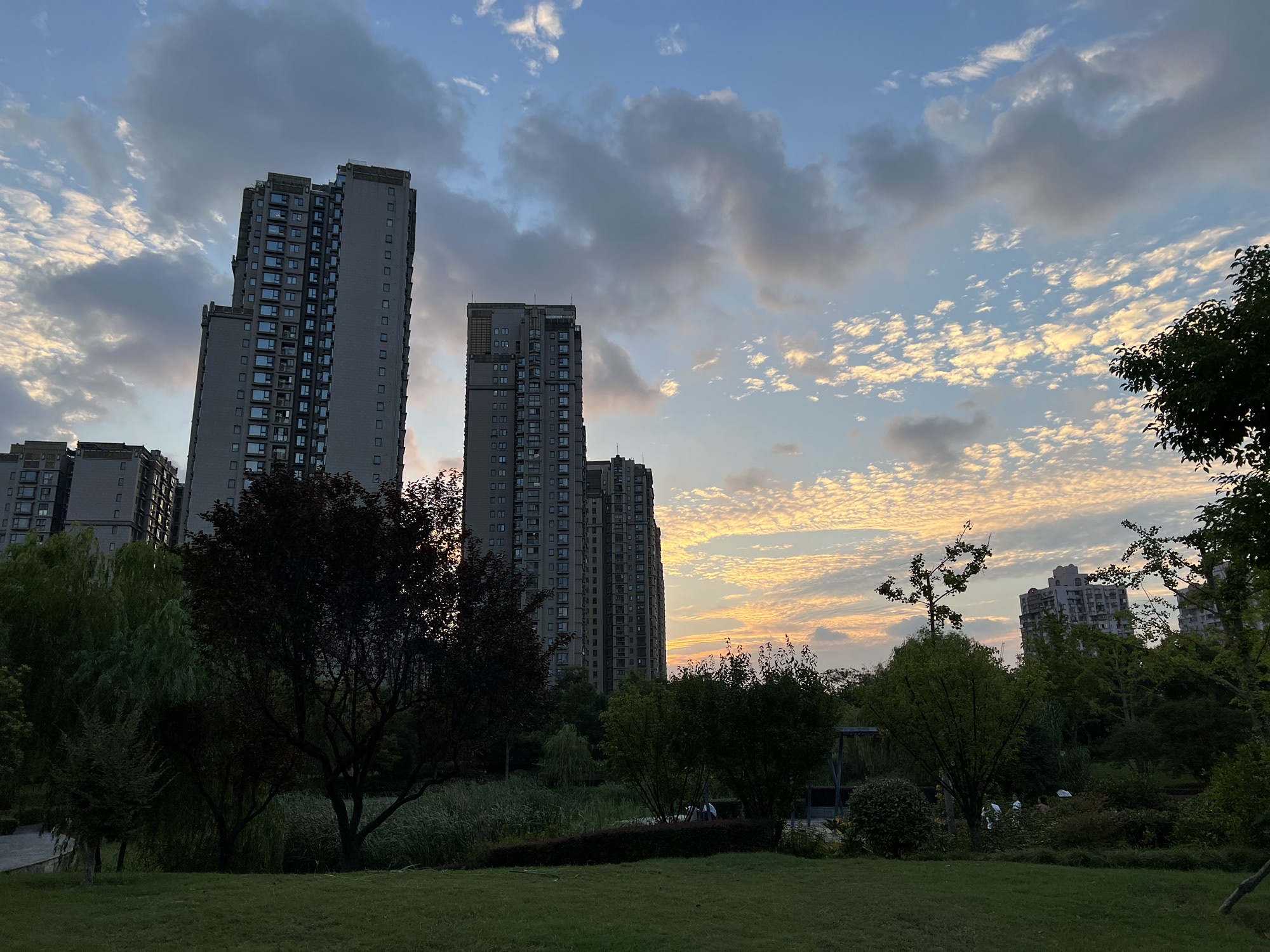 建民绿地公园旅行图片 1