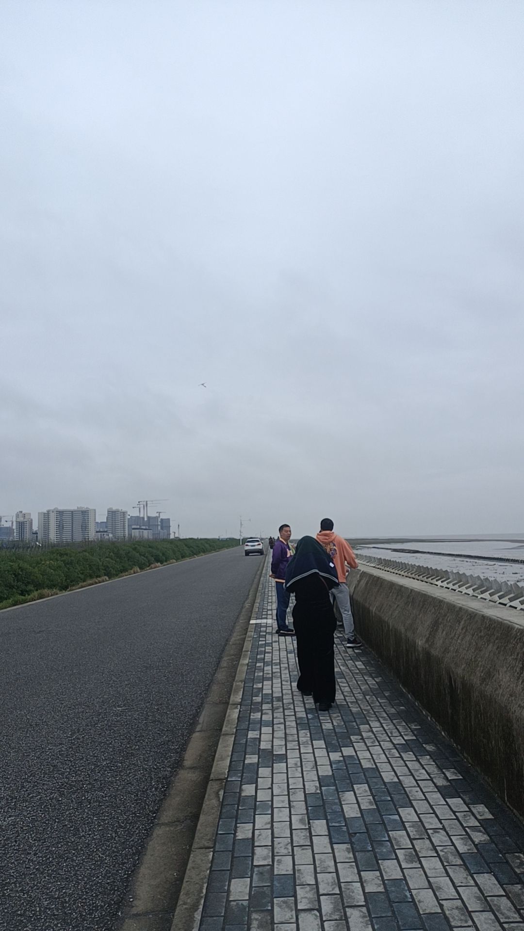 南汇新城海滩(不对外开放)旅行图片 1