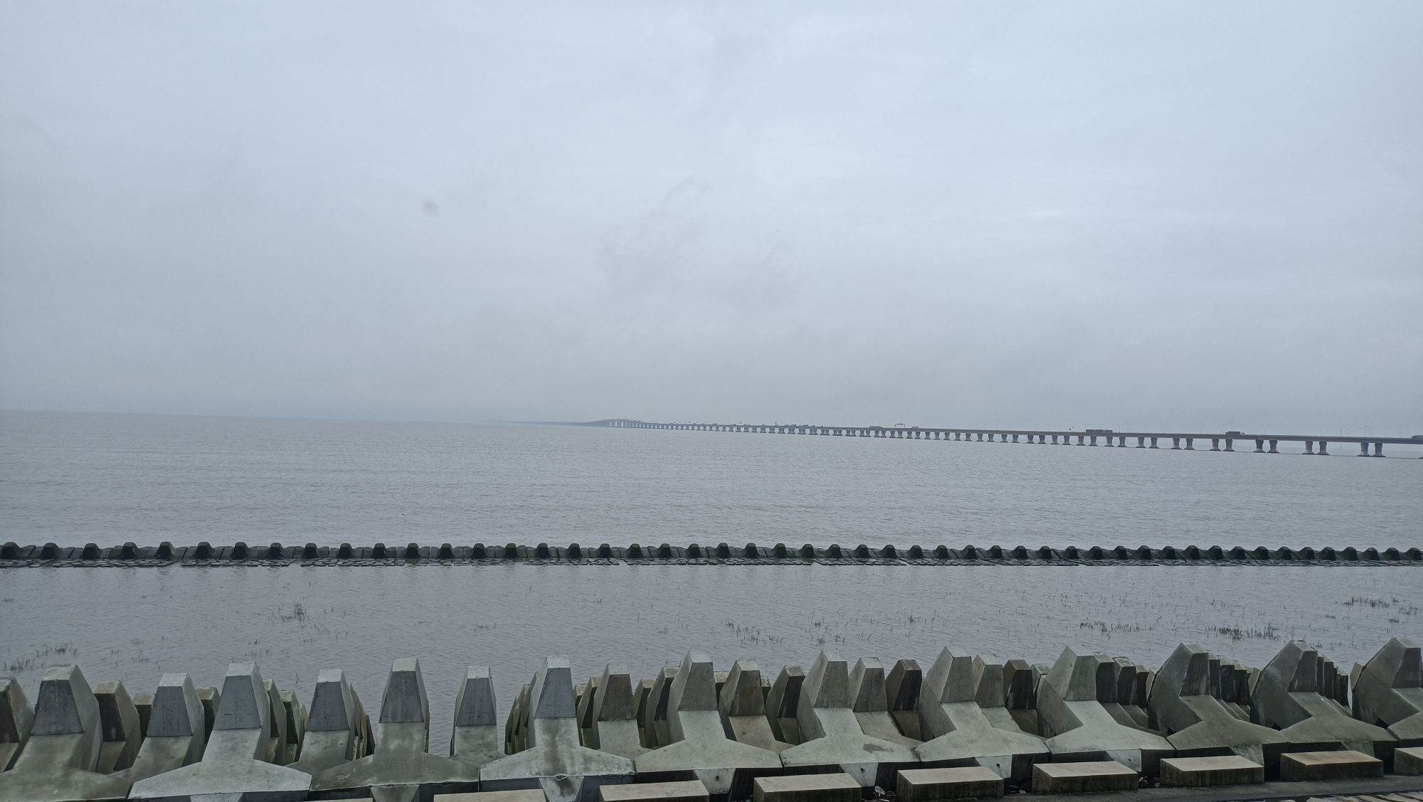 南汇新城海滩(不对外开放)旅行图片 2