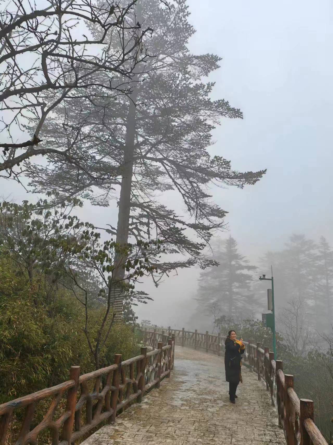 玉屏山玻璃栈道旅行图片 1