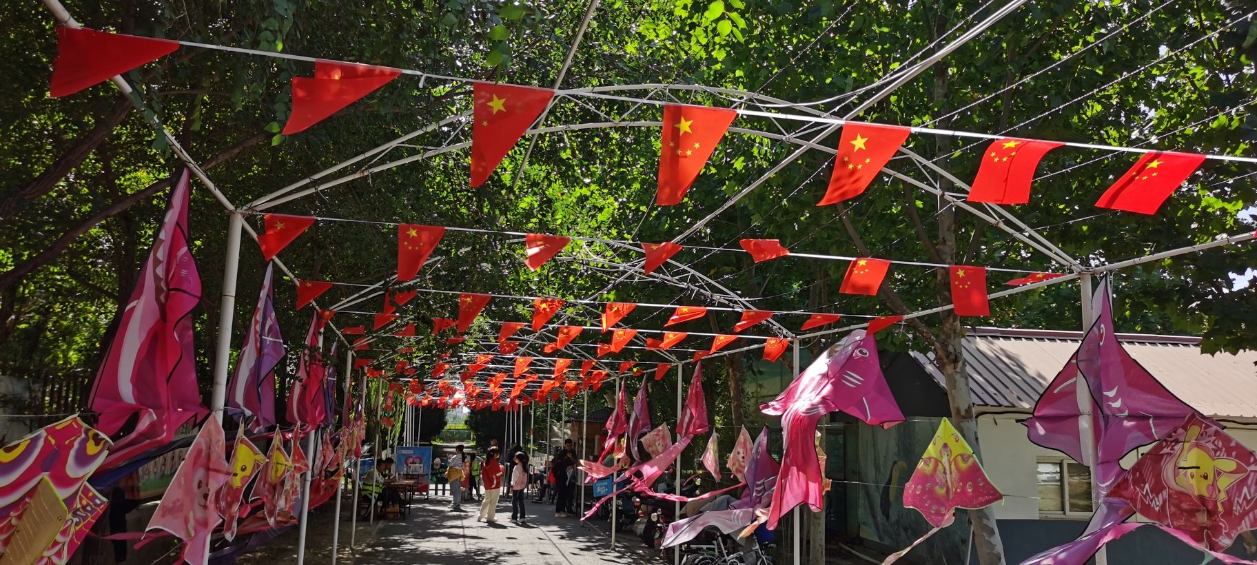 六北定植物园(暂停开放)旅行图片 1