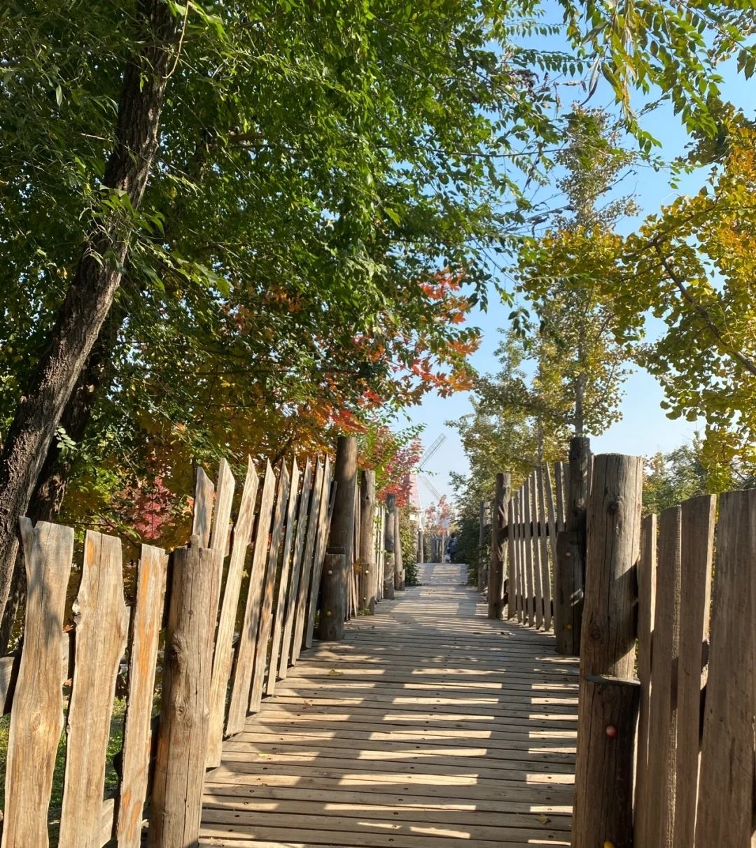 六北定植物园(暂停开放)旅行图片 2
