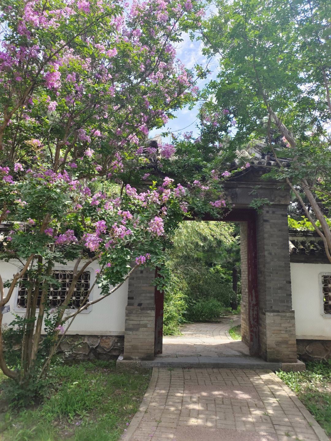 六北定植物园(暂停开放)旅行图片 2
