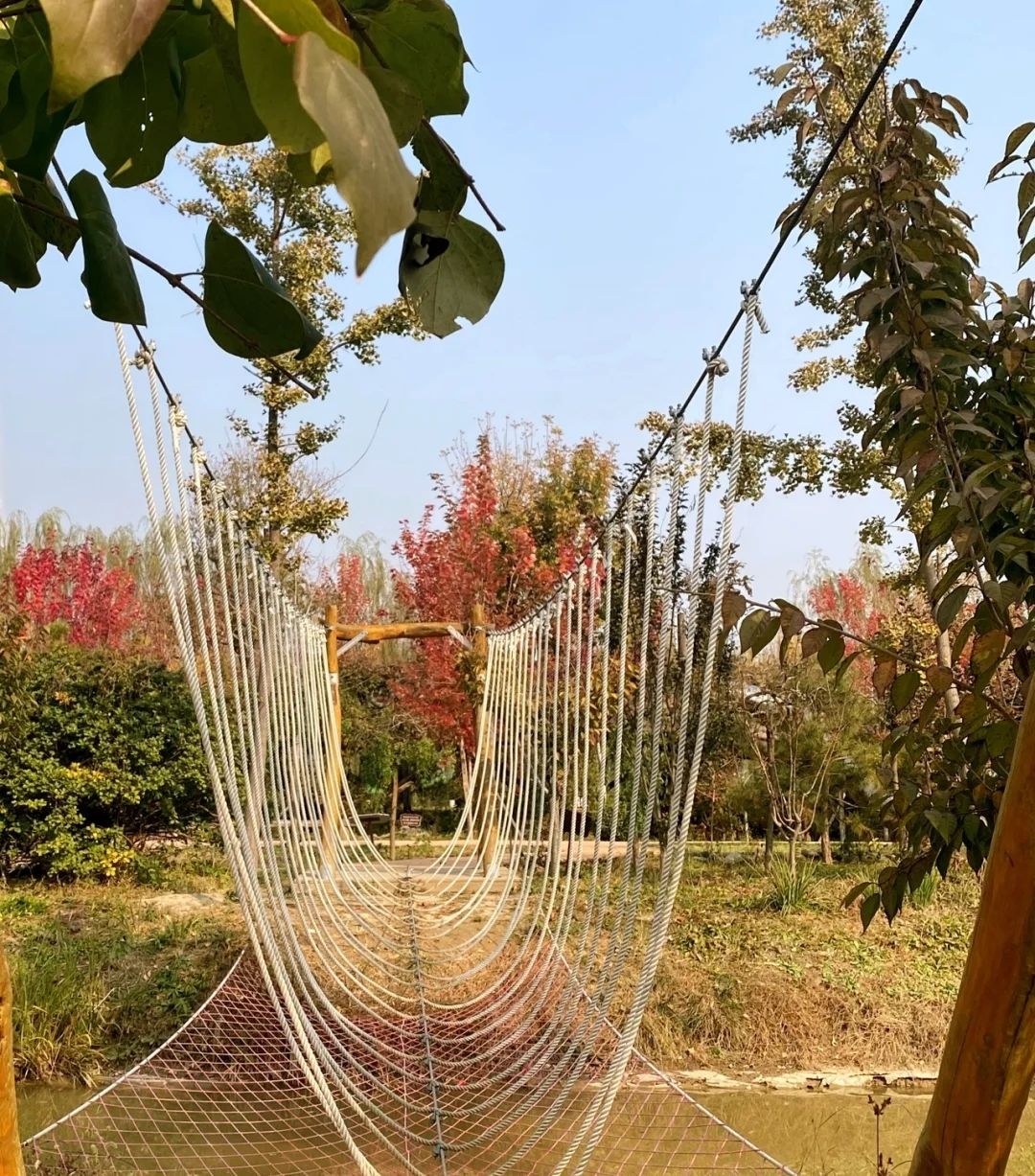六北定植物园(暂停开放)旅行图片 1