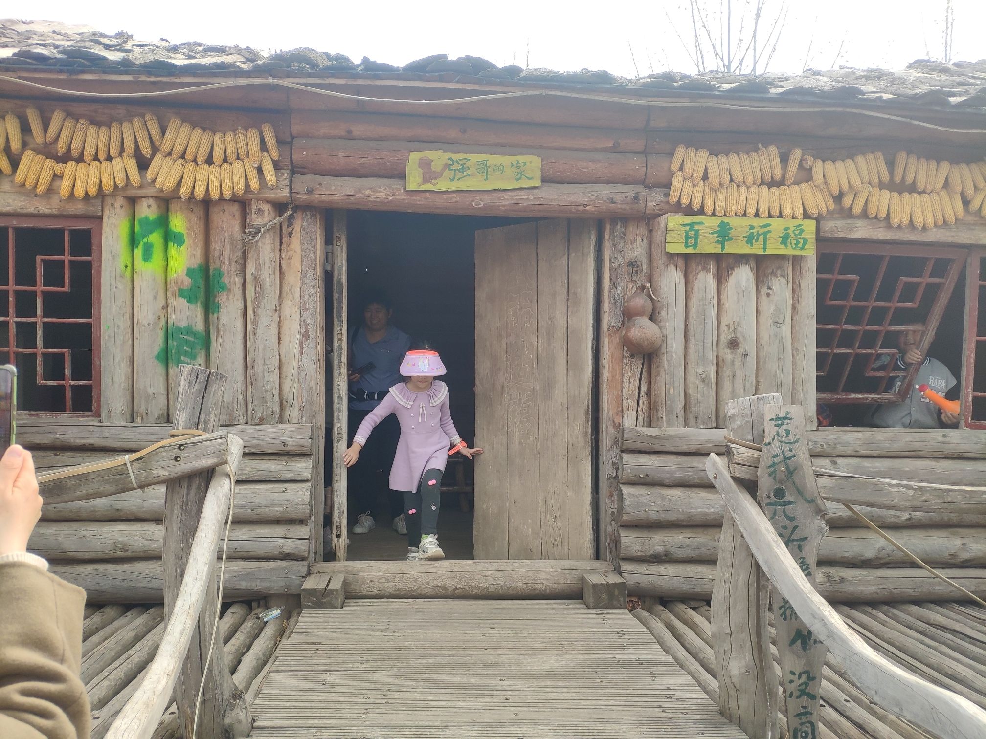 六北定植物园(暂停开放)旅行图片 2