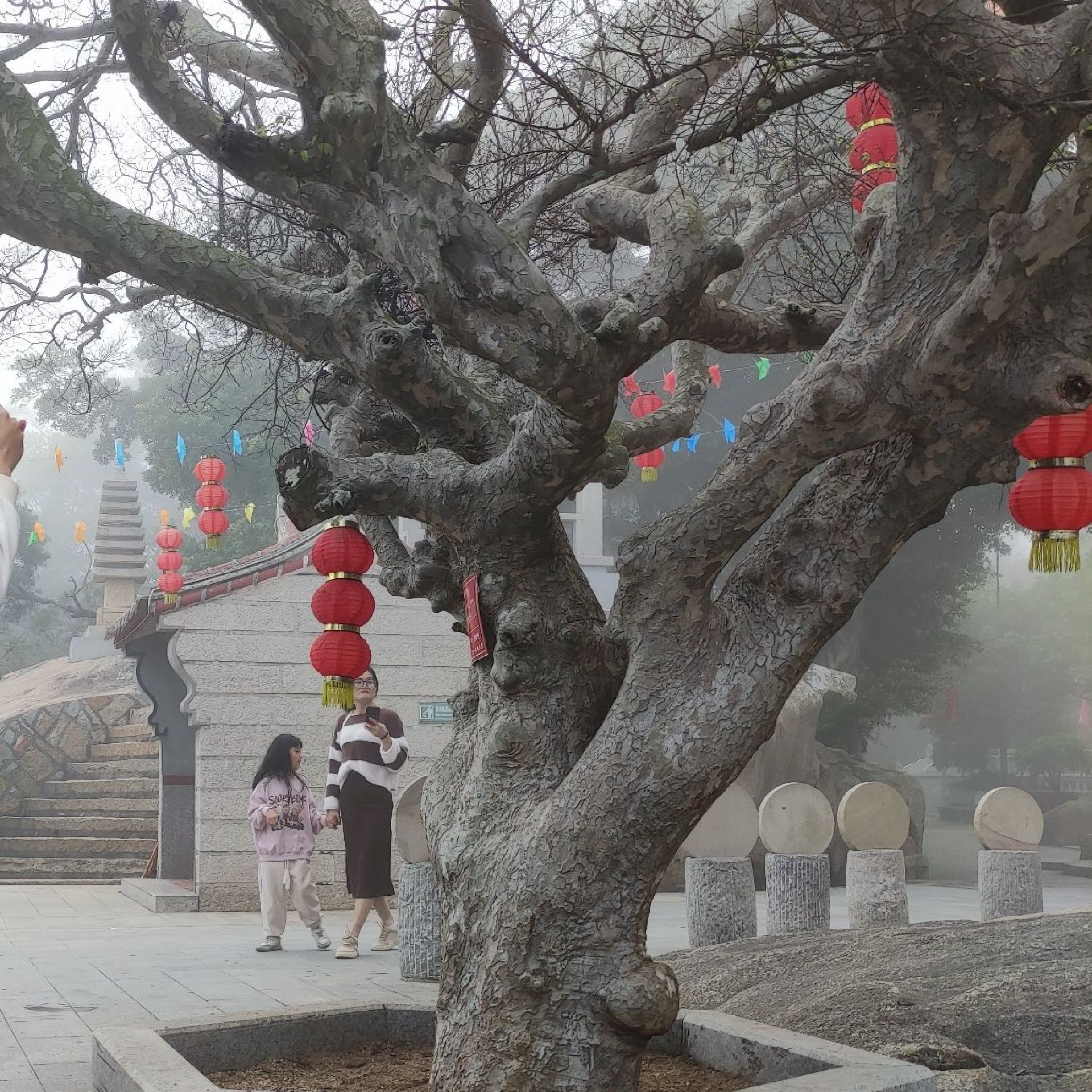 莆田普陀山旅行图片 3
