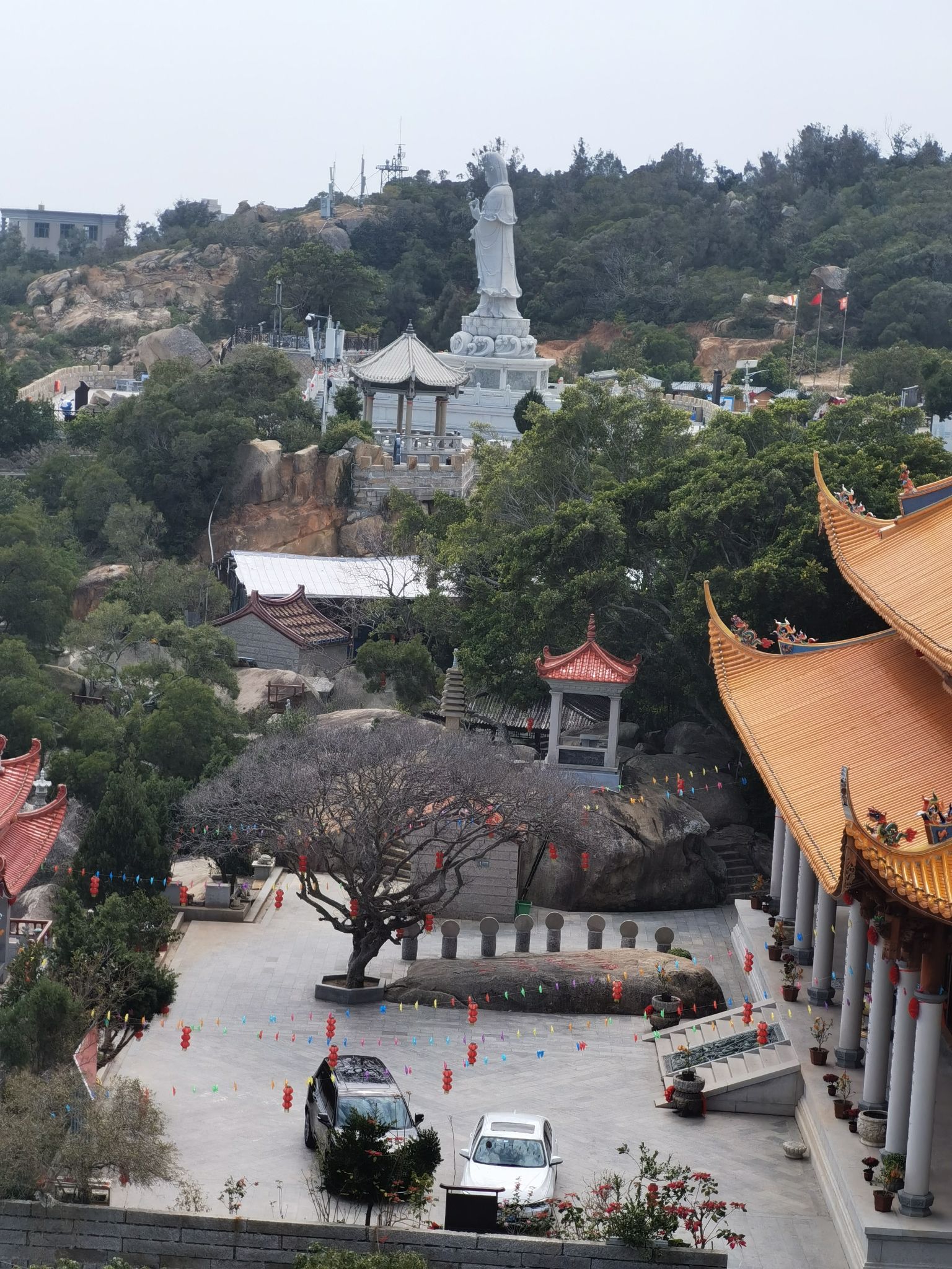 莆田普陀山旅行图片 3