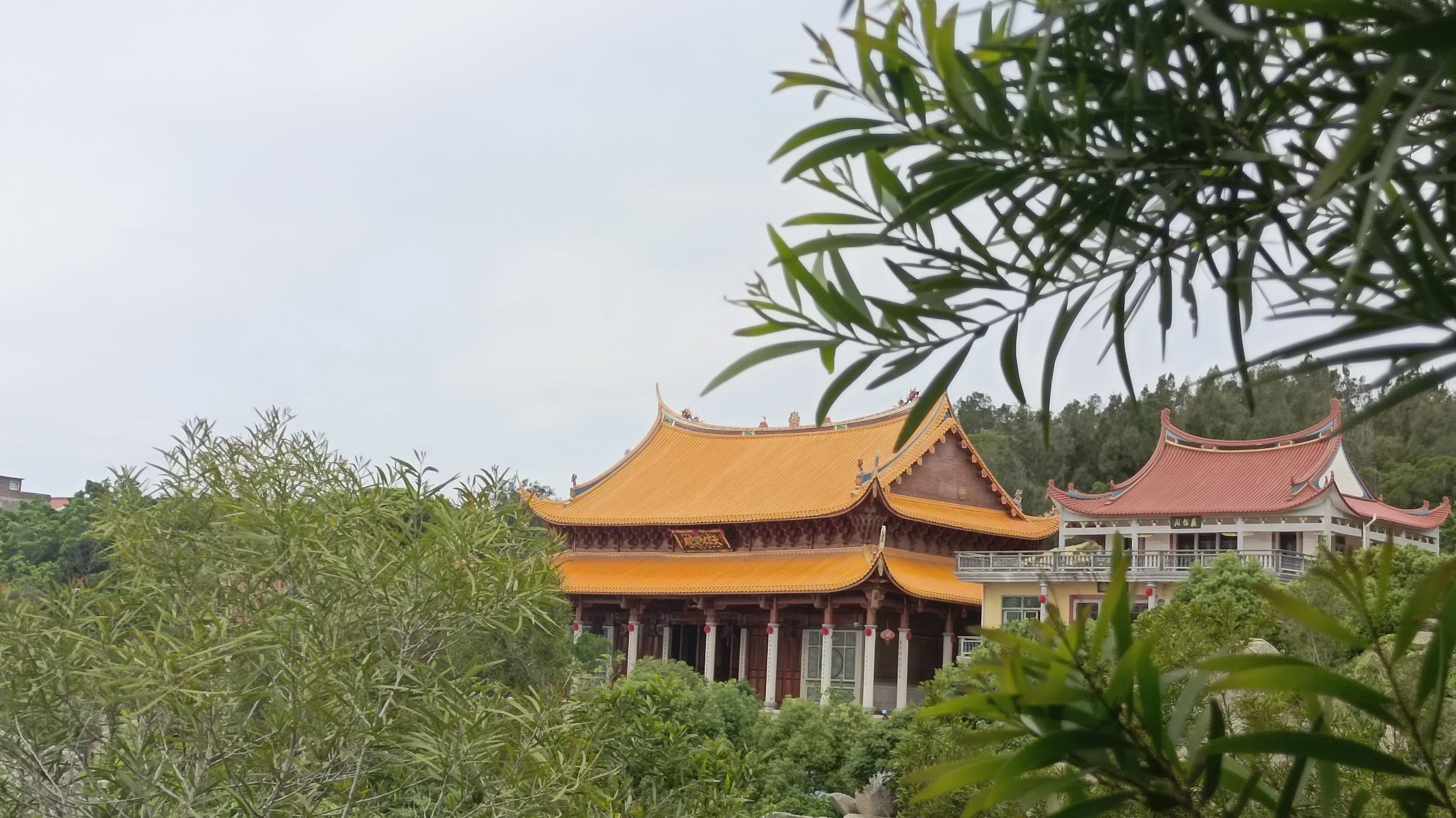 莆田普陀山旅行图片 3