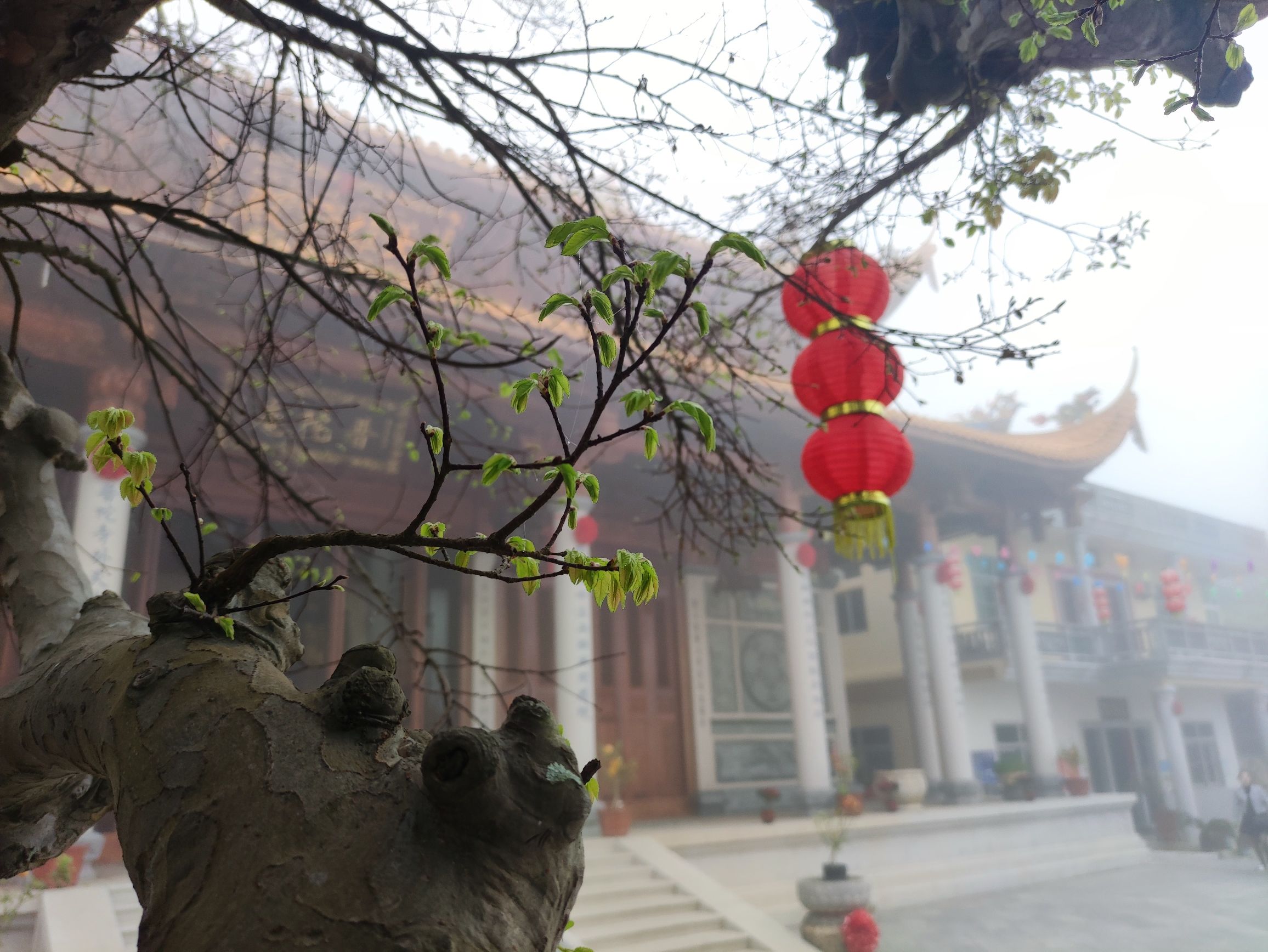 莆田普陀山旅行图片 2