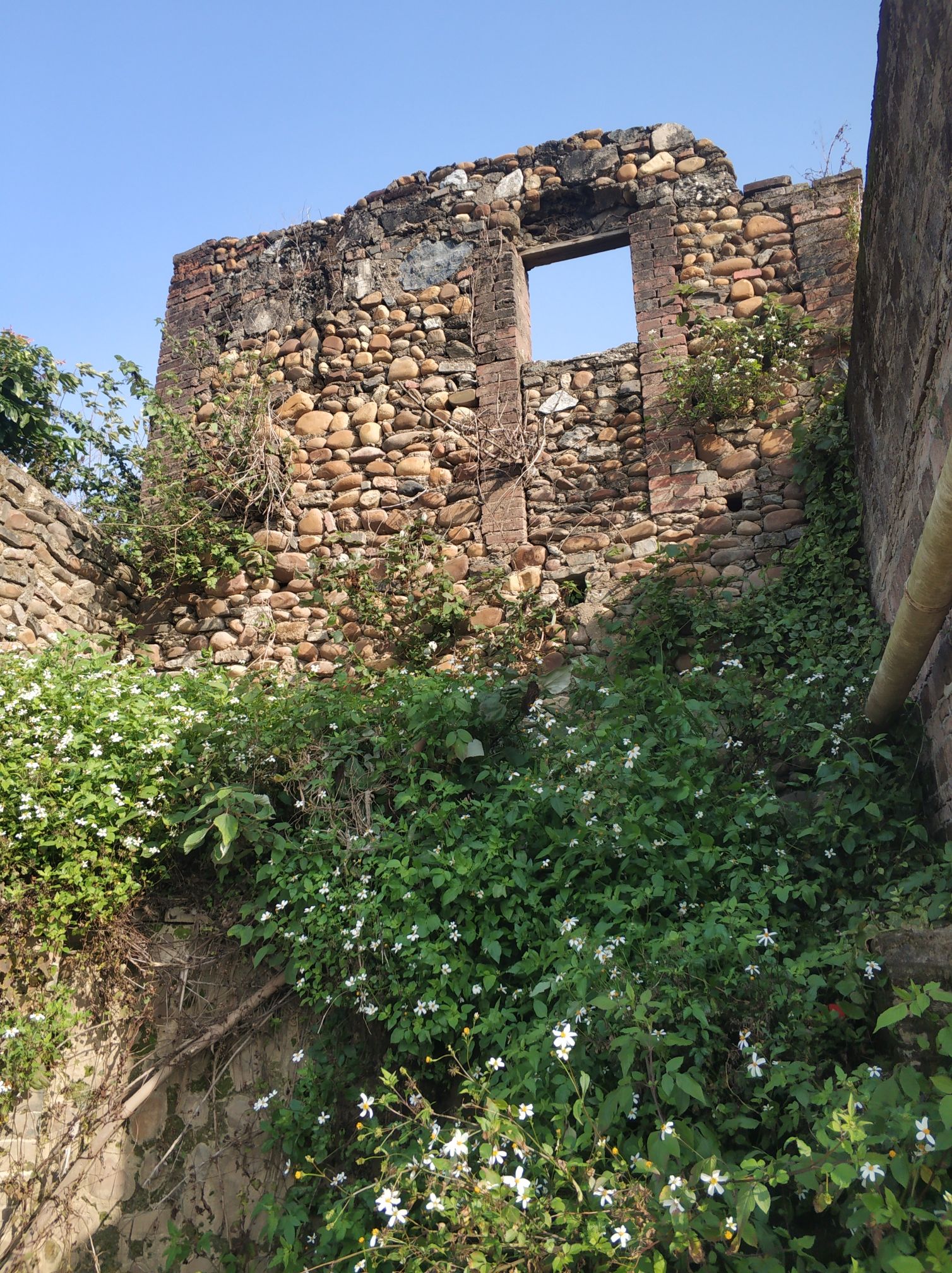 鱼咀古城旅行图片 3