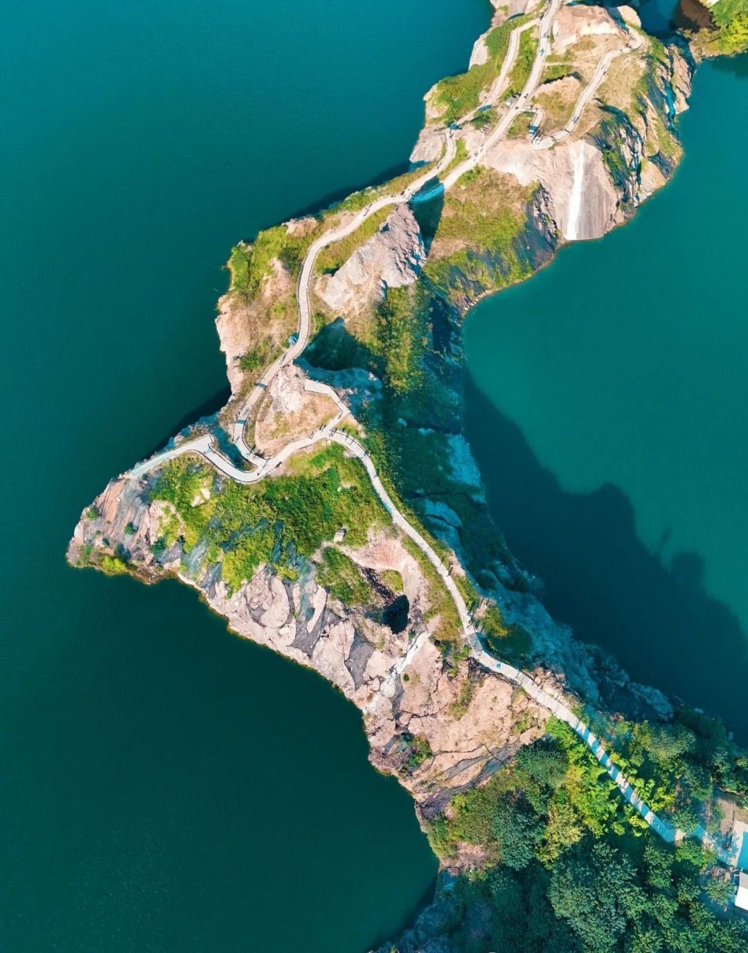 神仙湖生态公园旅行图片 3