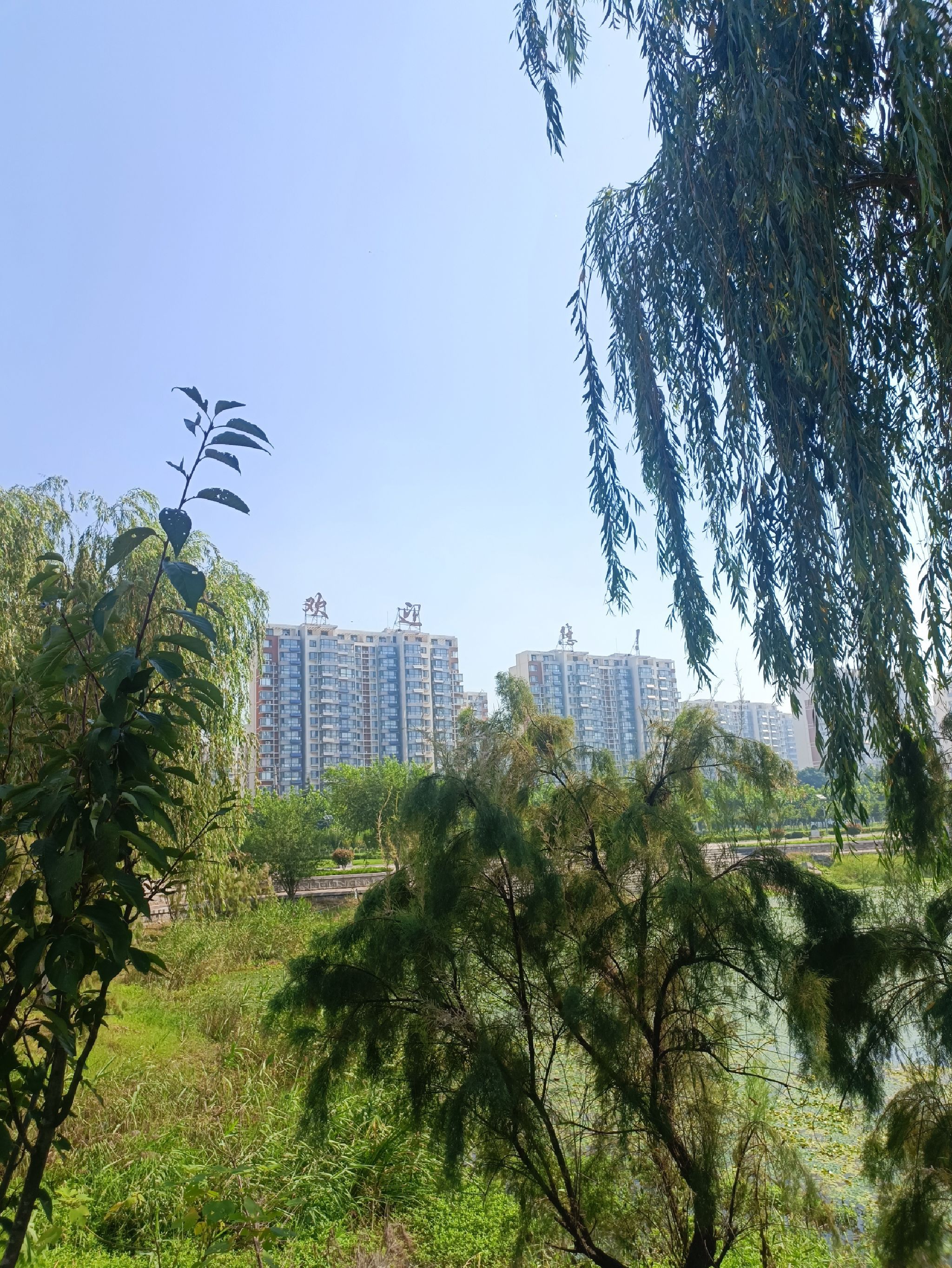 锦绣公园旅行图片 1