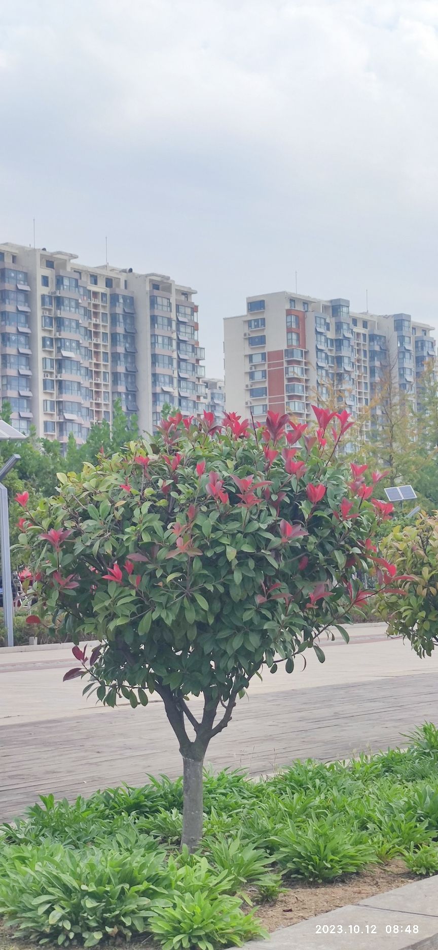 锦绣公园旅行图片 1