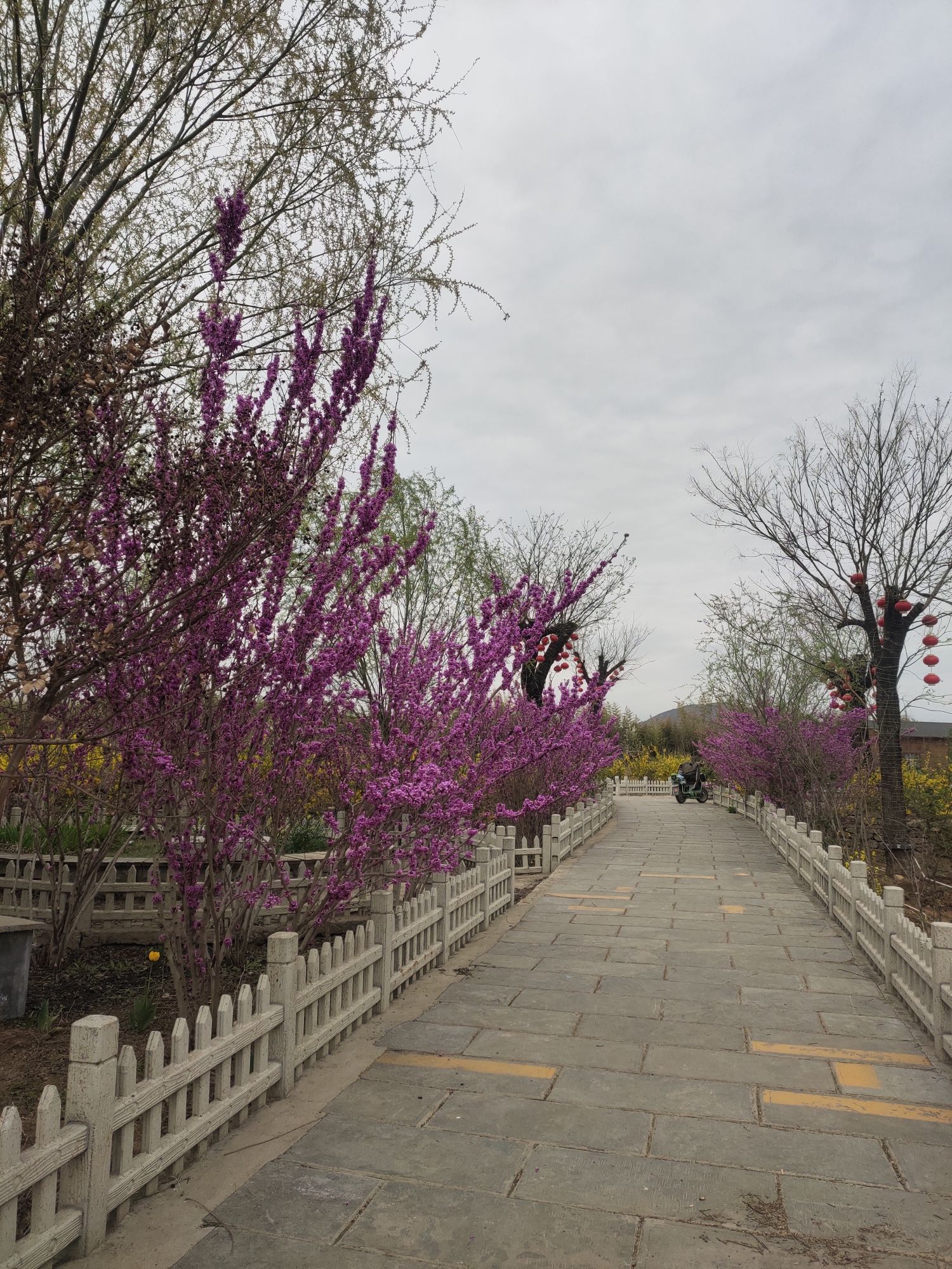 康王谷景区旅行图片 2