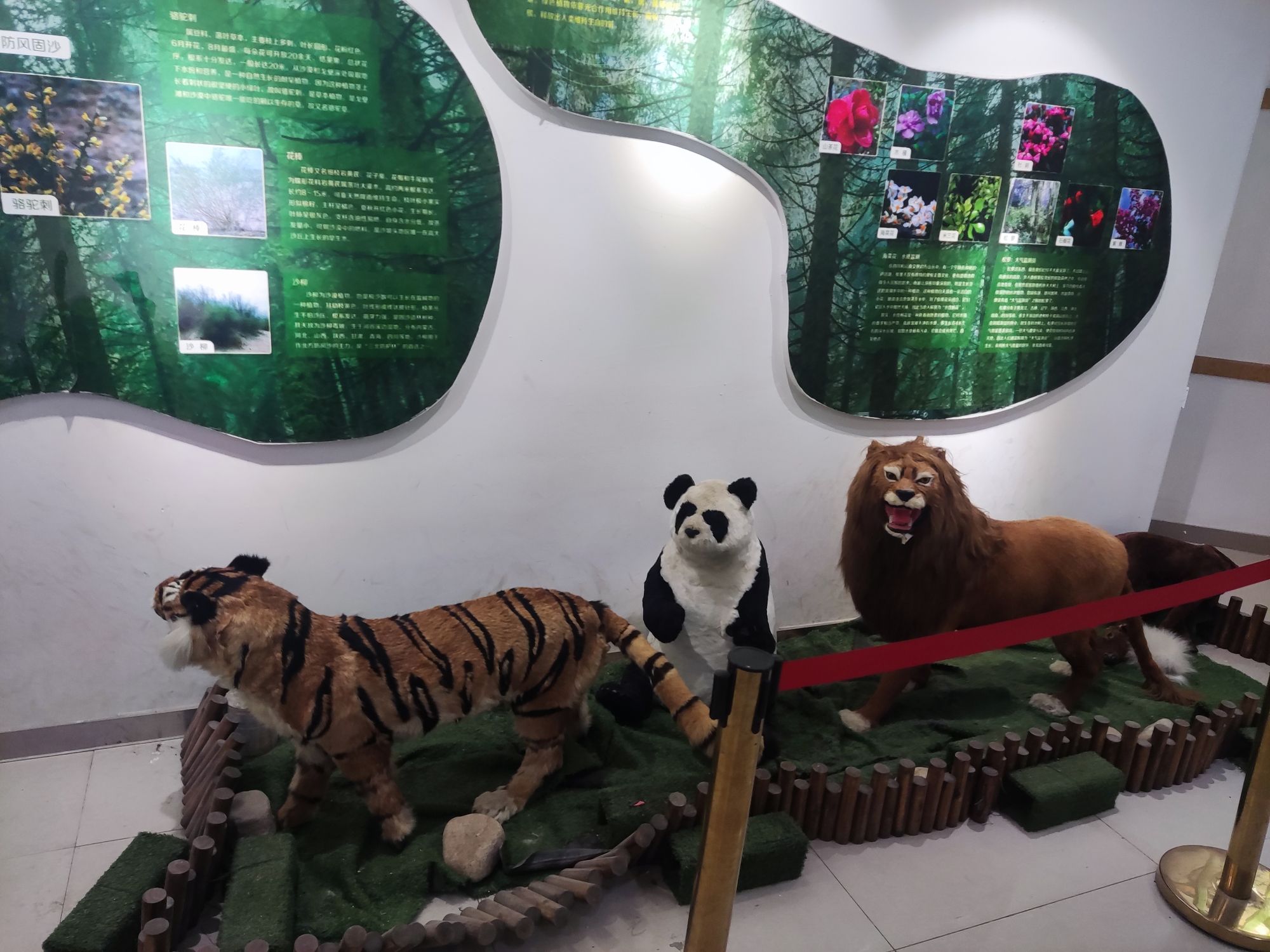 康王谷景区旅行图片 3