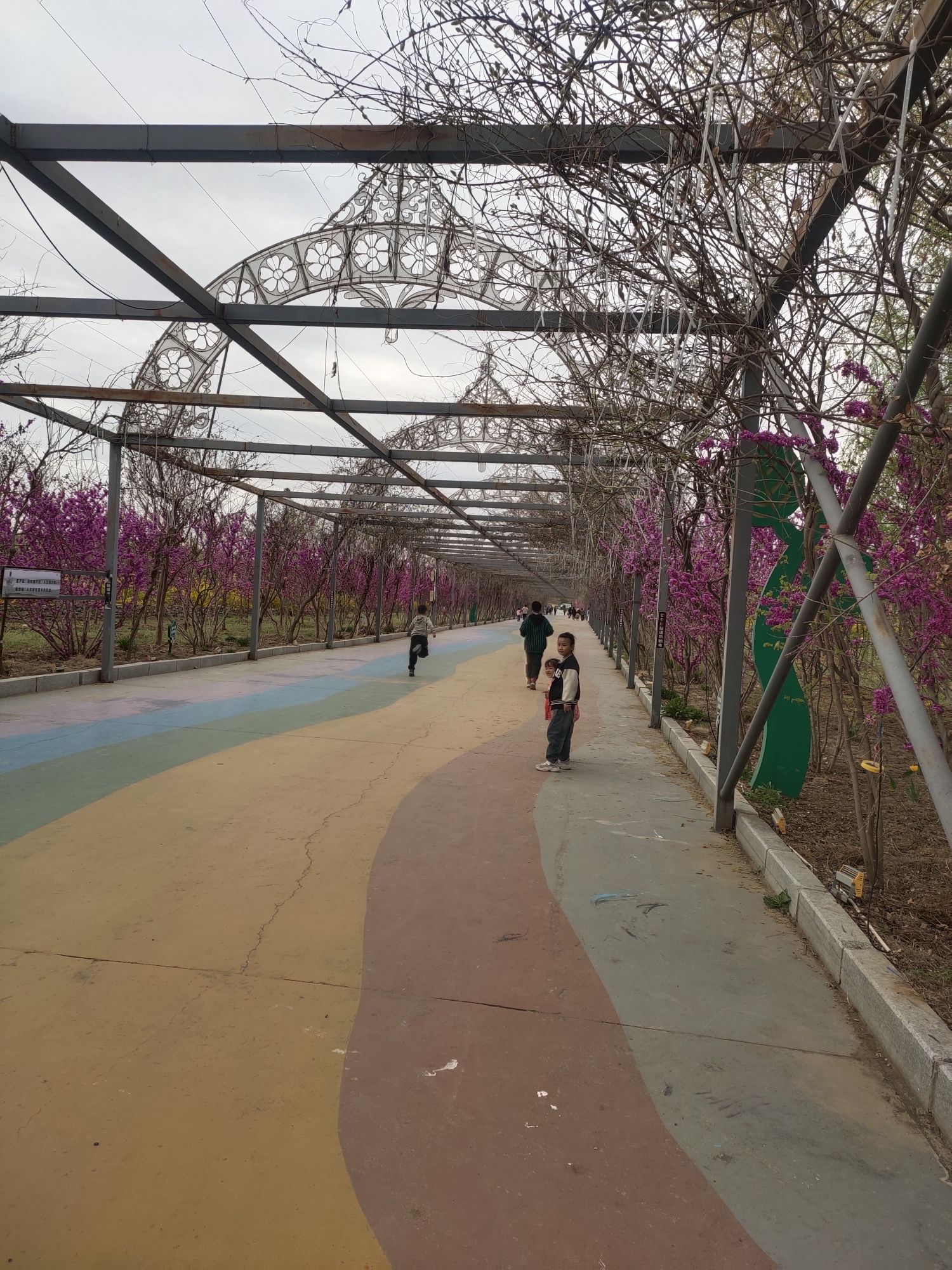 康王谷景区旅行图片 3