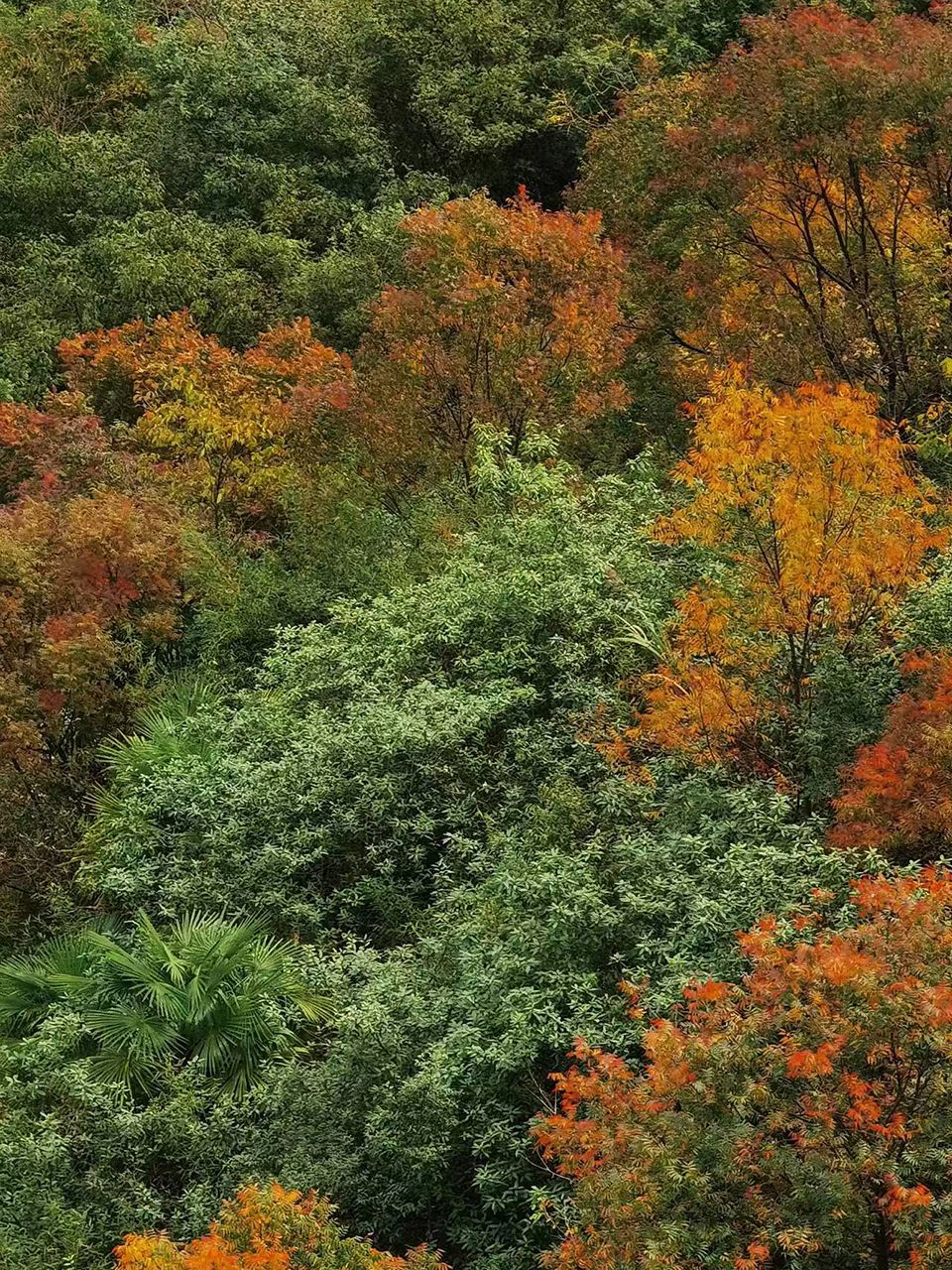涪江六峡旅行图片 2