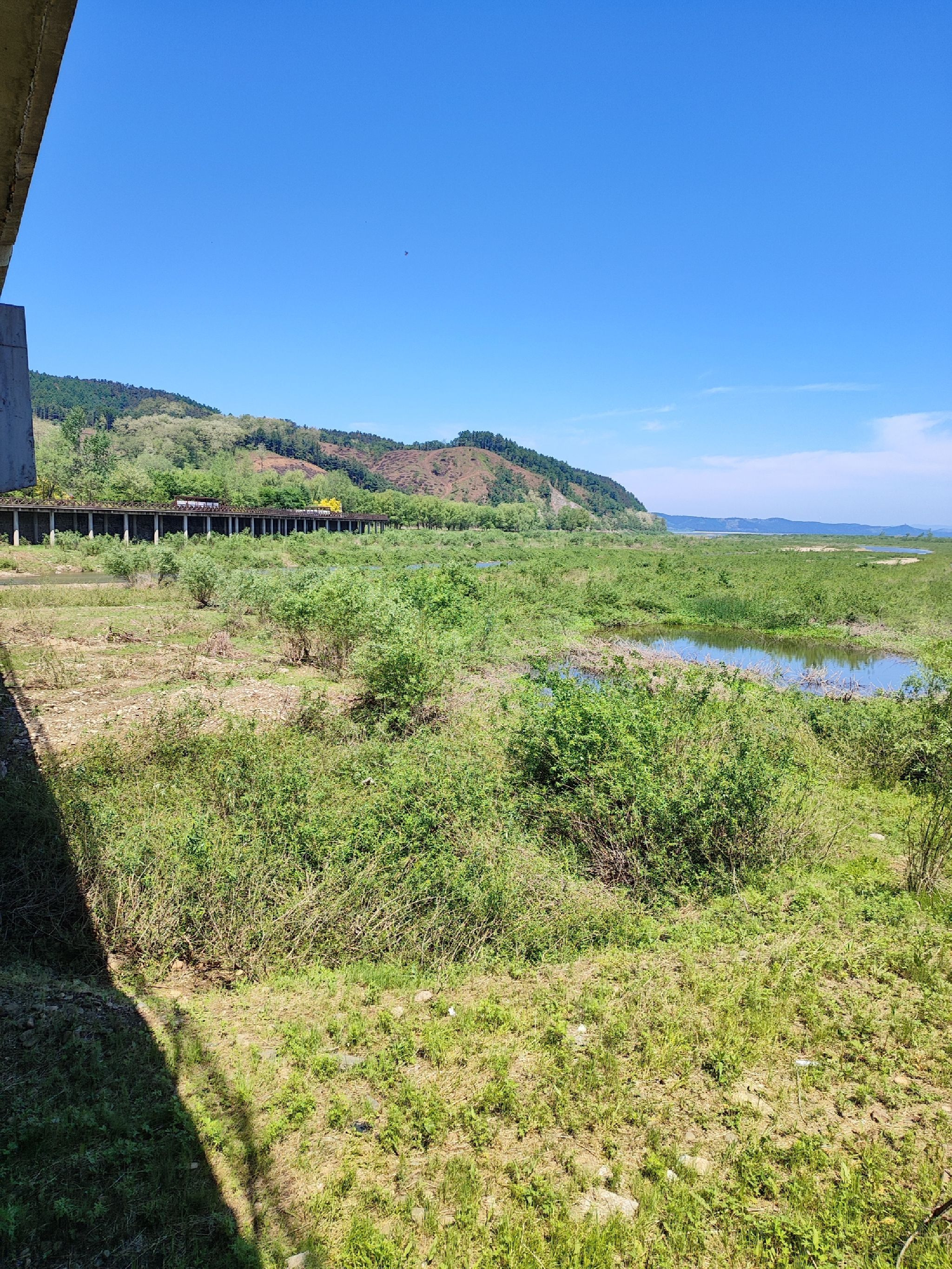社河国家湿地公园旅行图片 2