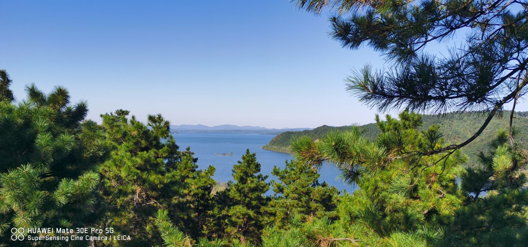 社河国家湿地公园旅行图片 2