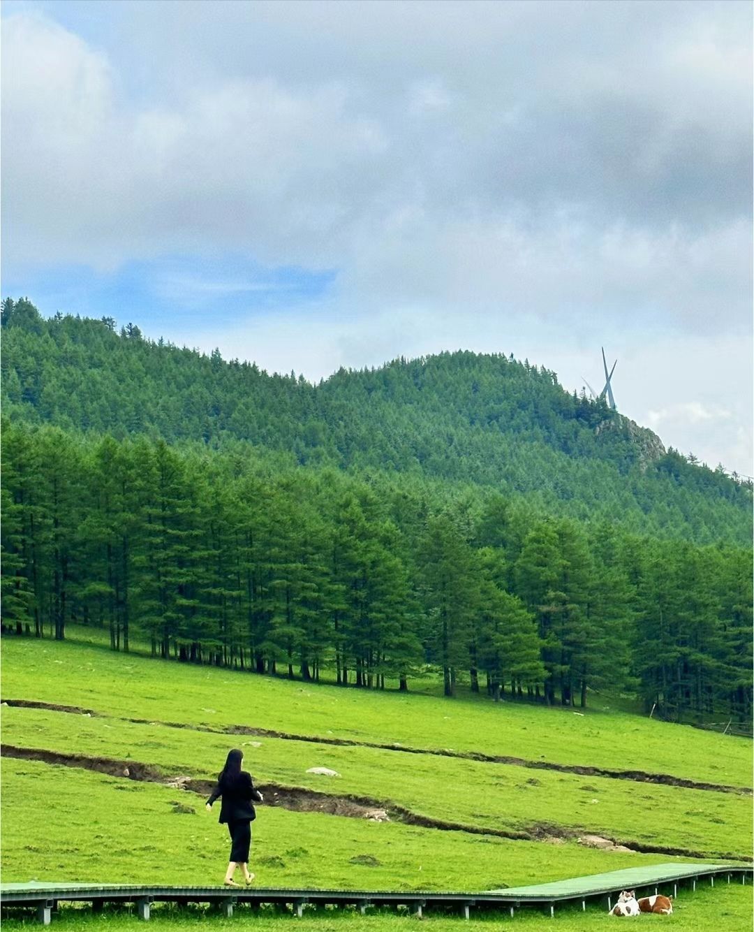 云顶紫台休闲避暑山庄旅行图片 3