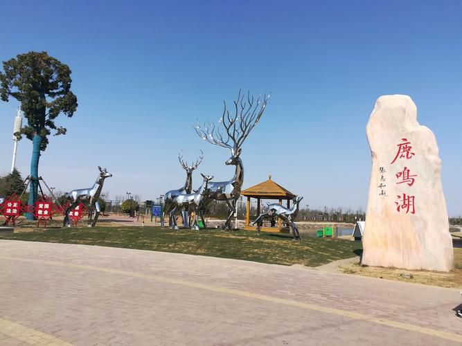 鹿鸣湖公园旅行图片 2