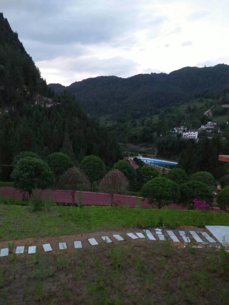 百花谷旅行图片 1