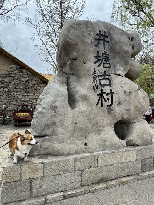 青州井塘古村景区旅行图片 3