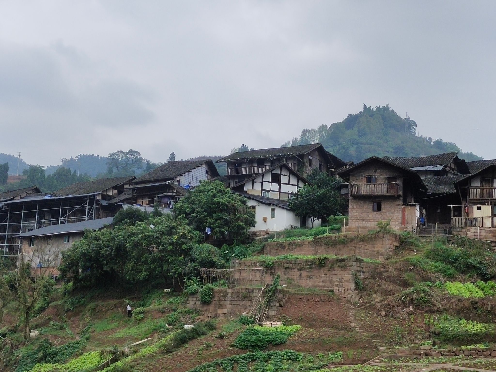 福宝古镇旅行图片 1