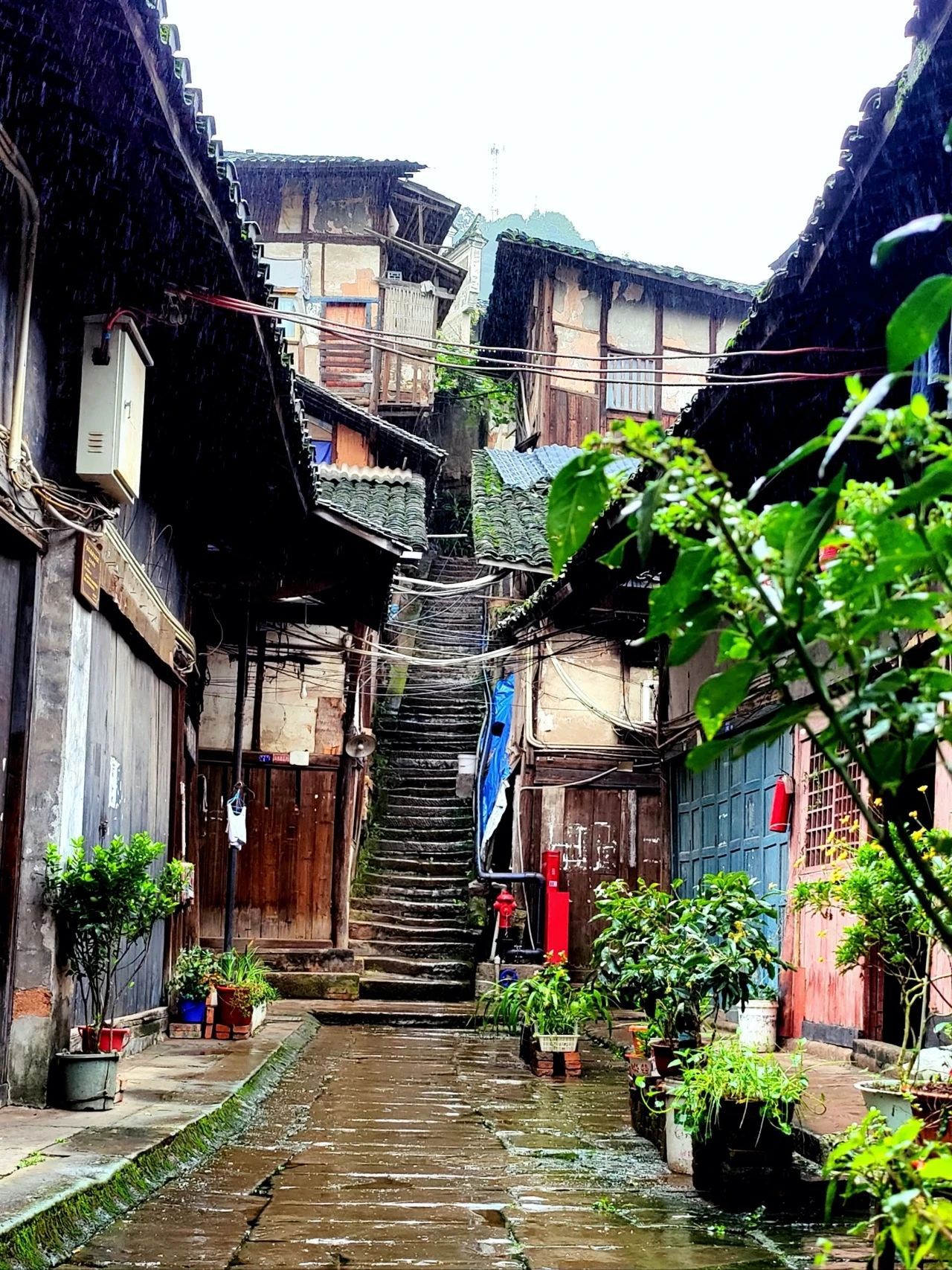福宝古镇旅行图片 3