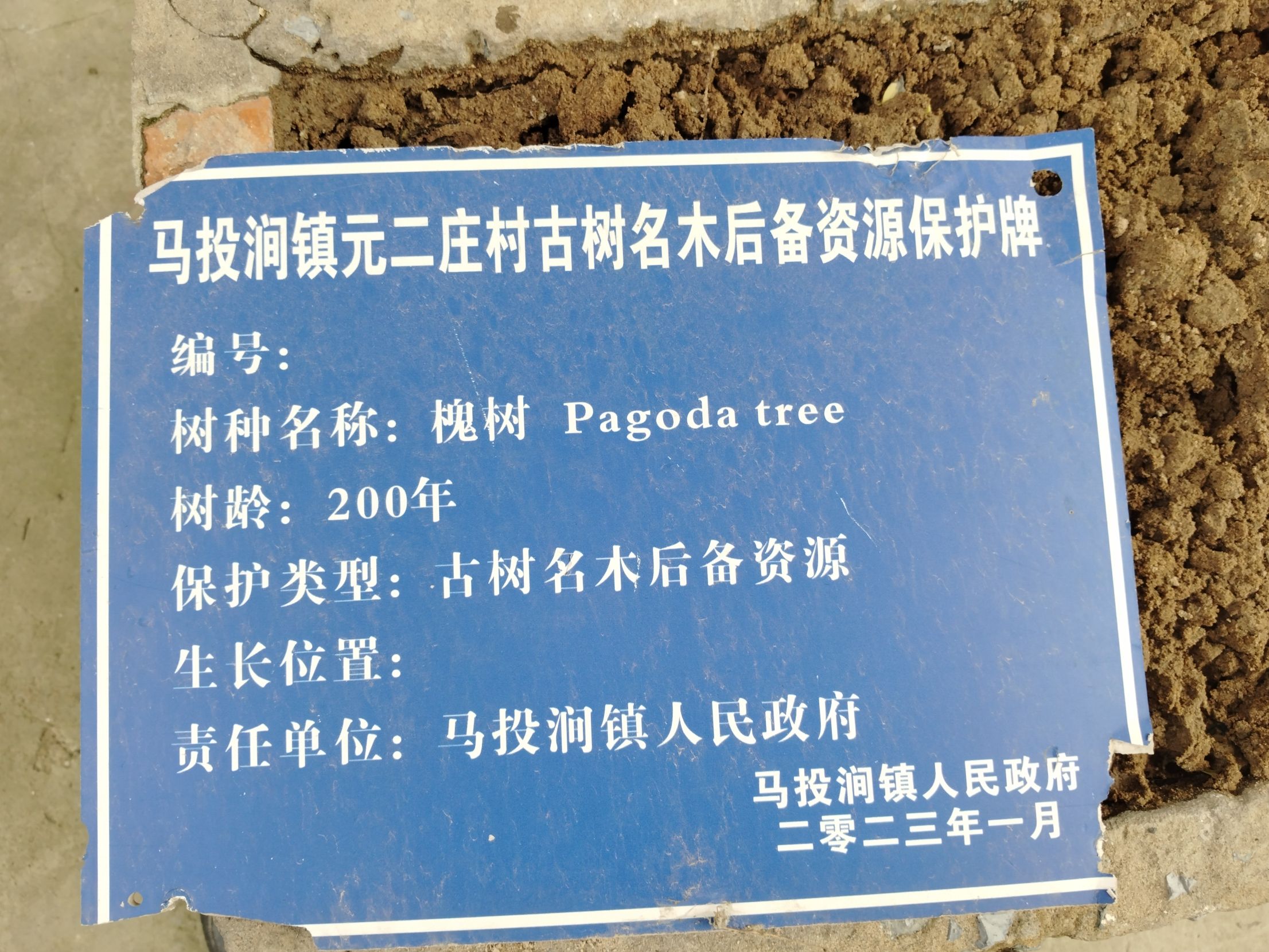 元二庄南顶老爷庙实景照片
