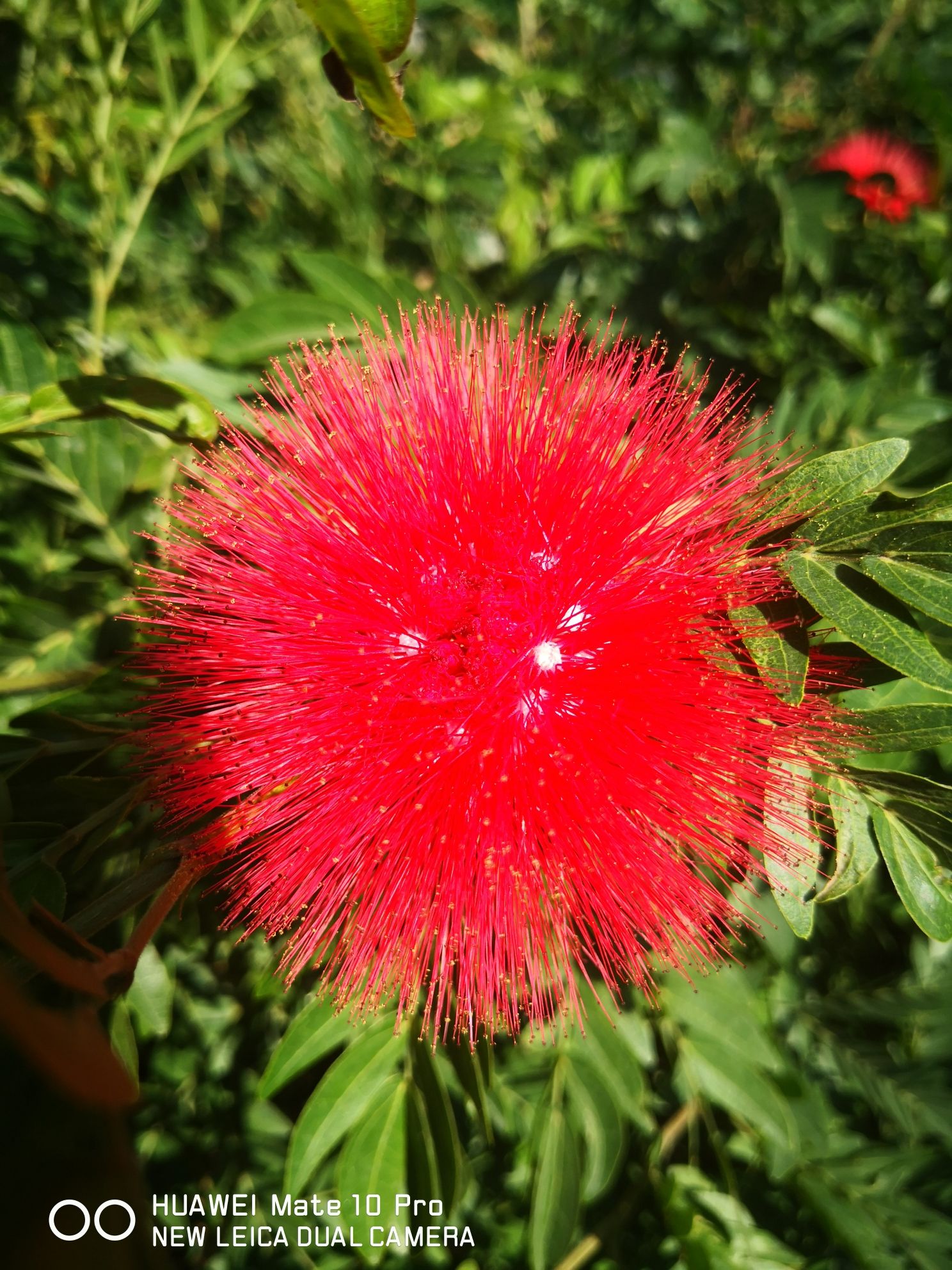 乐东热带花果世界