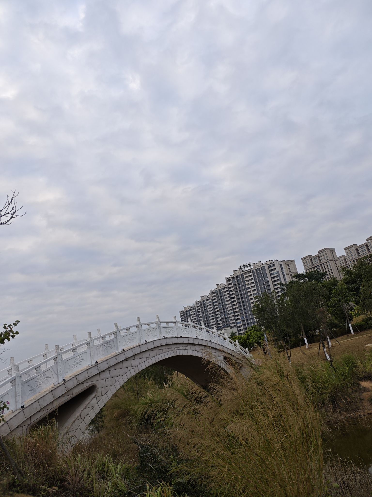香山湿地公园旅行图片 2